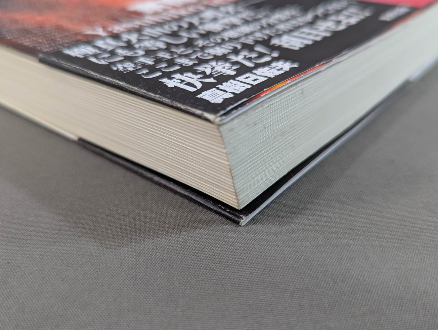 実録!!極真大乱 大山倍達の死と､全国各派の真実