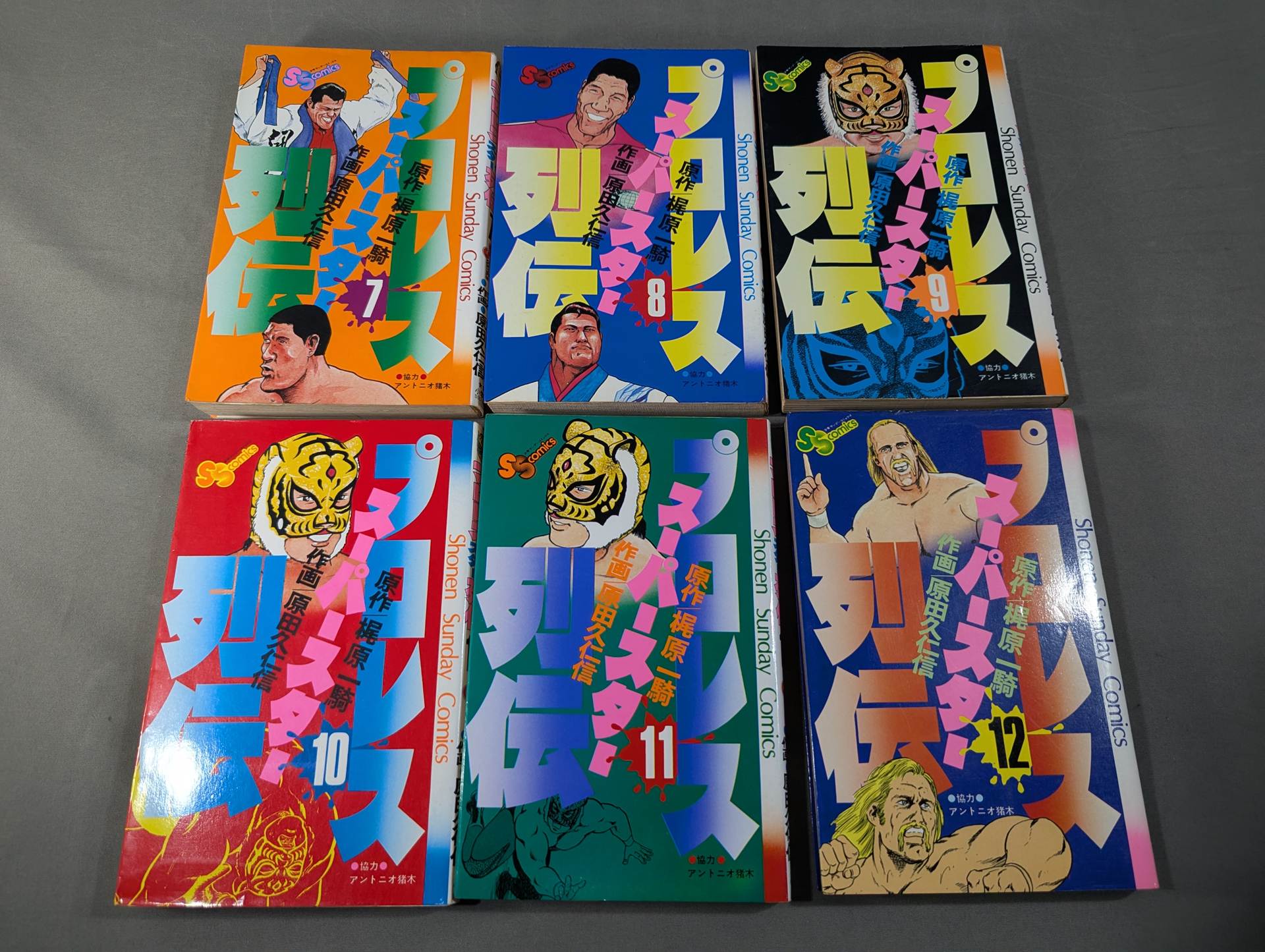 全17巻セット】プロレス スーパースター列伝 – 闘道館