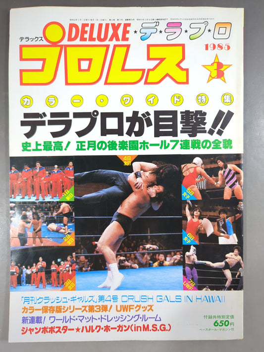 Deluxe Pro Wrestling March 1985