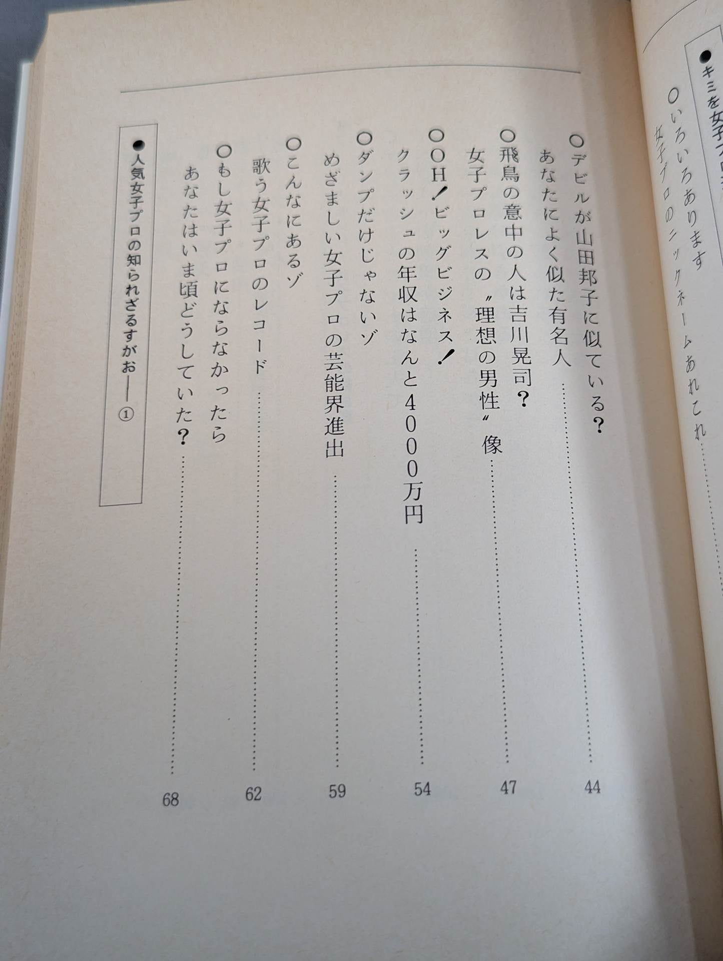 なんてったって女子プロレス