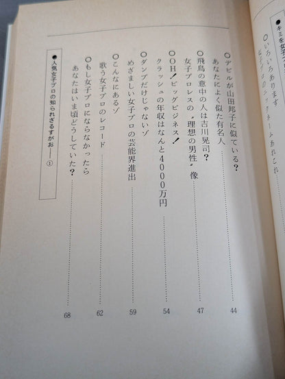 なんてったって女子プロレス