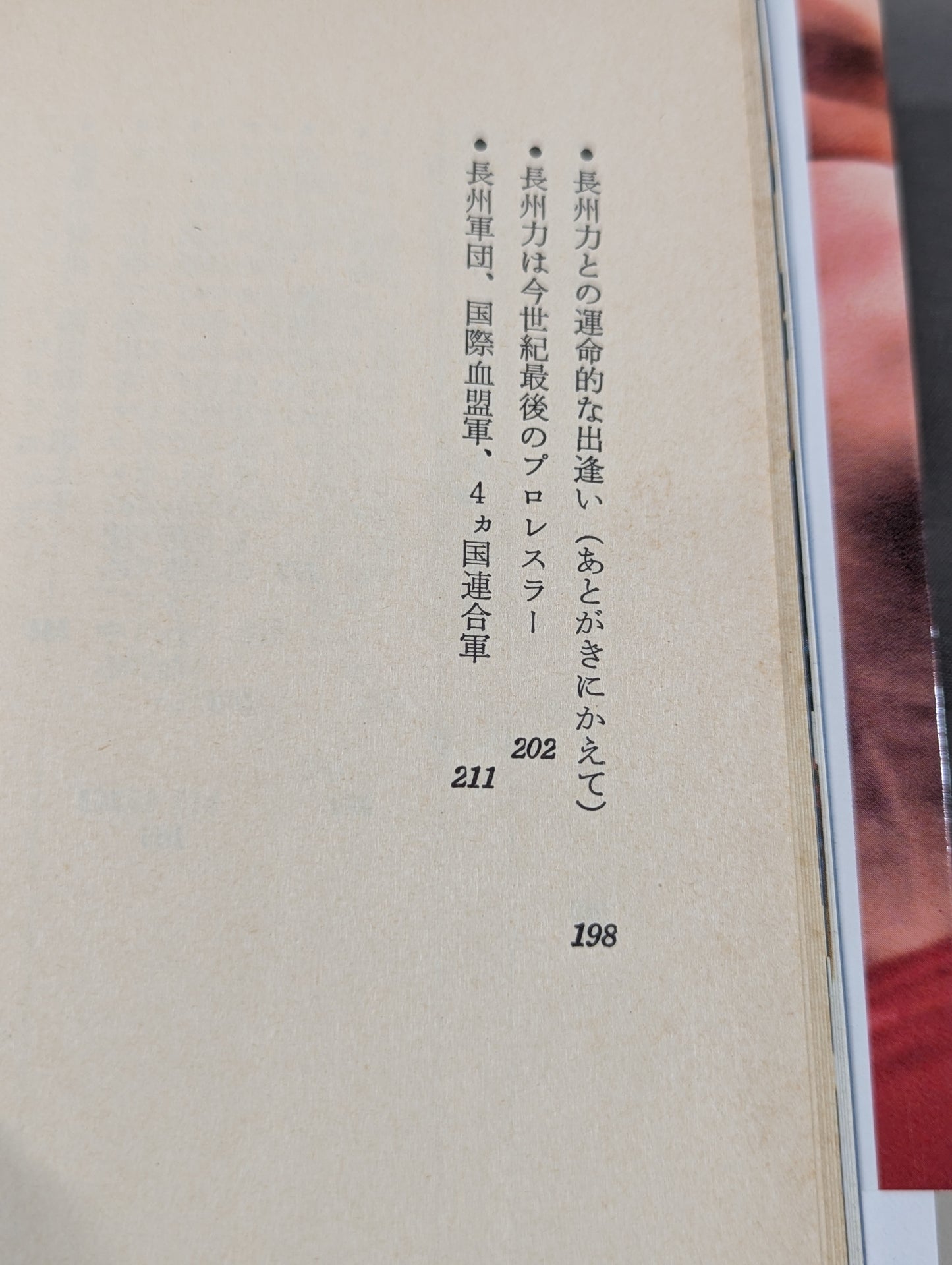 必殺ラリアット宣言 長州軍団の闘争