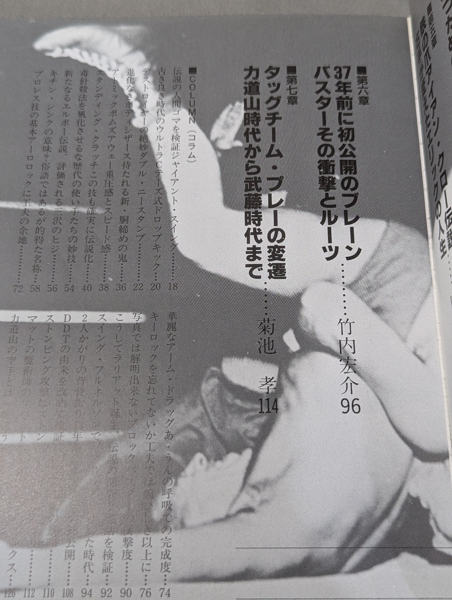 Pro Wrestling Skill MOOK