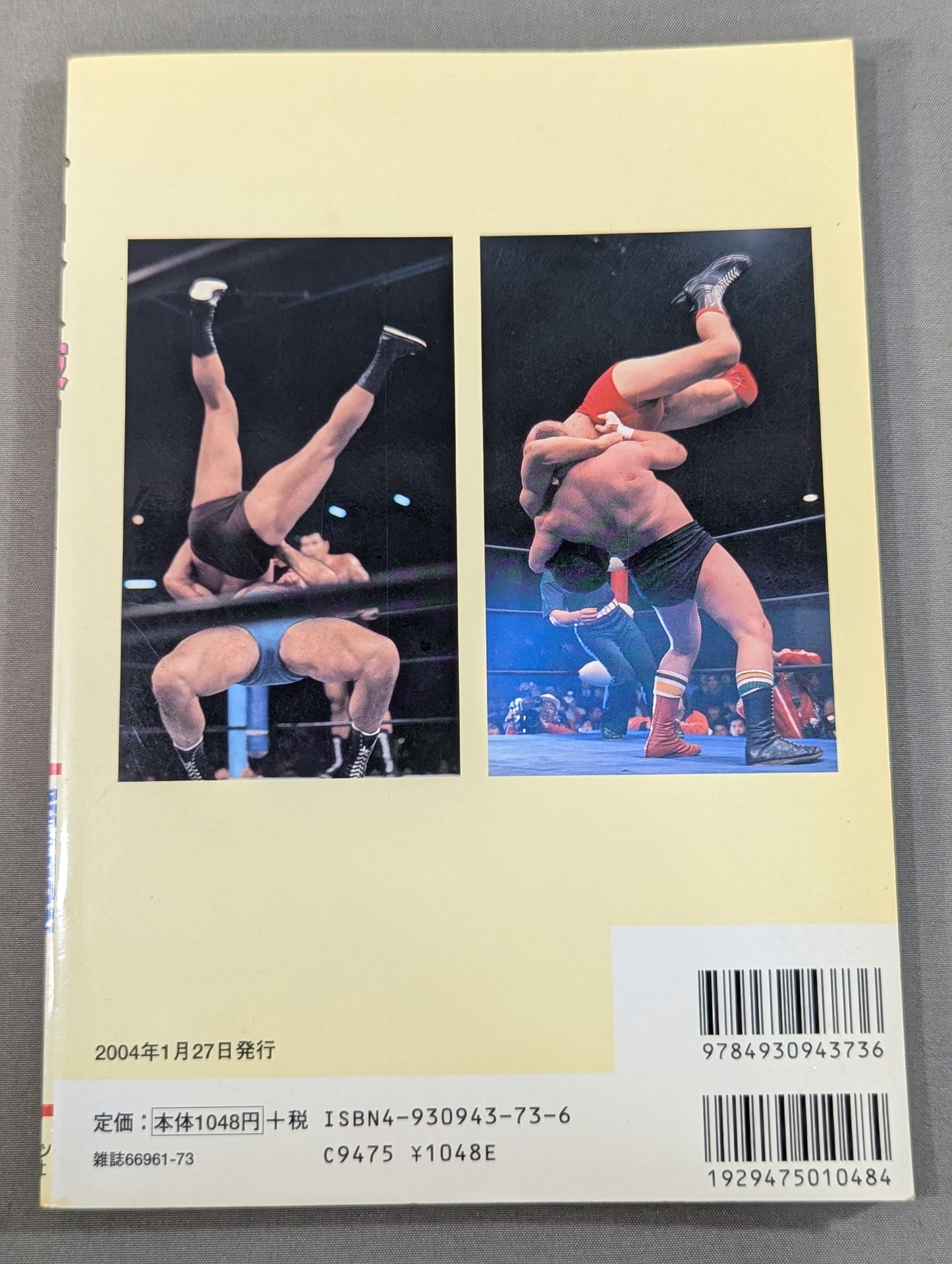 Pro Wrestling Skill MOOK