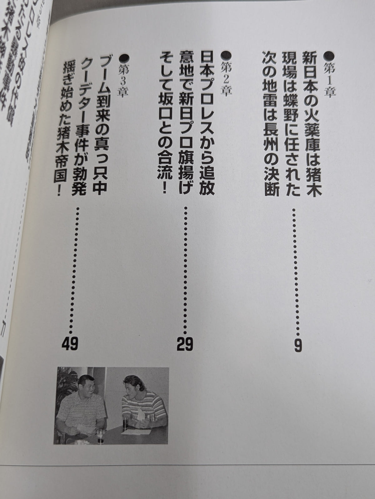 続・新日本プロレス事件簿(改定補充版) 新日本プロレス 今､そこにある危機!!