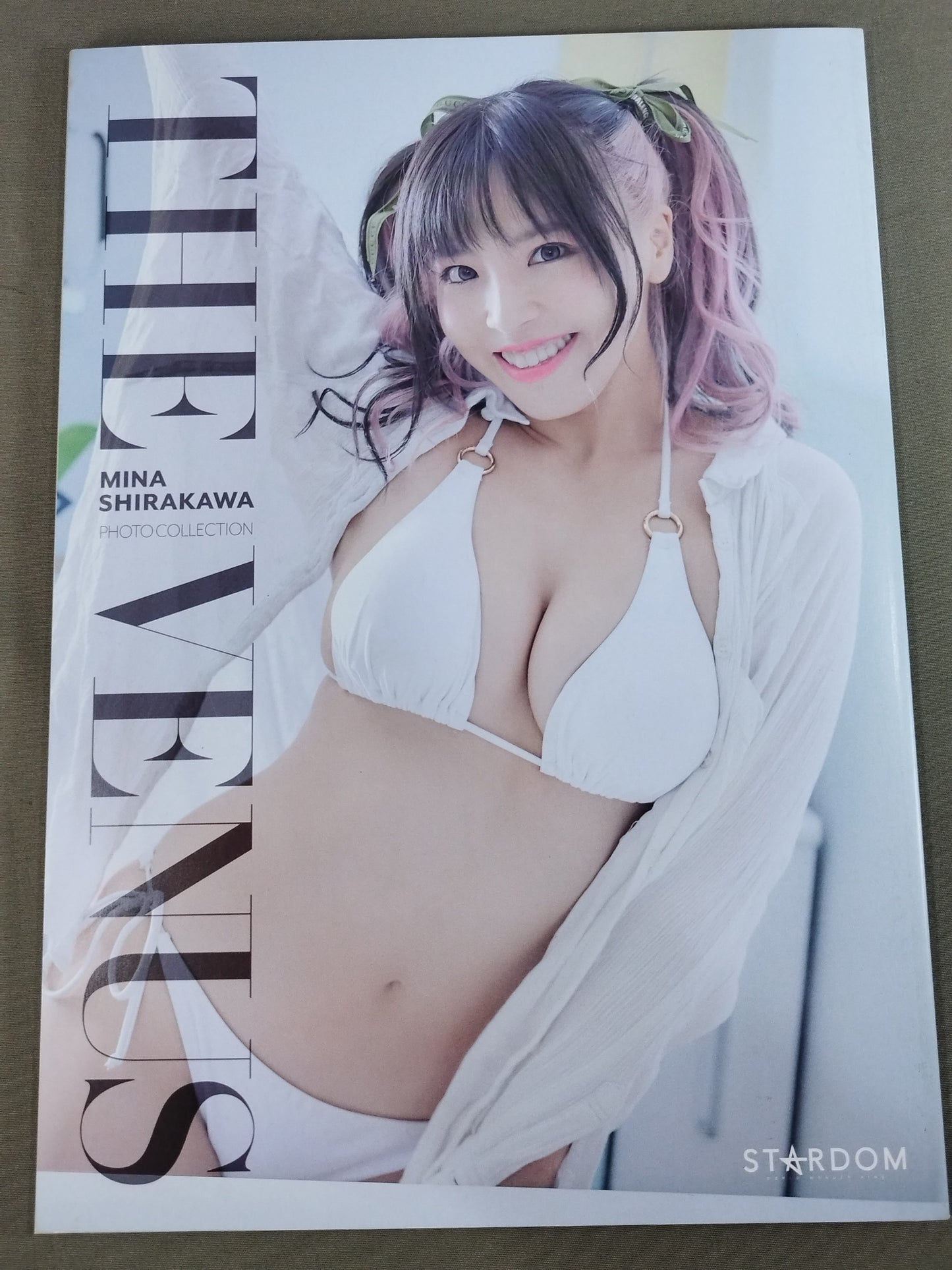 白川未奈 写真集 THE VENUS