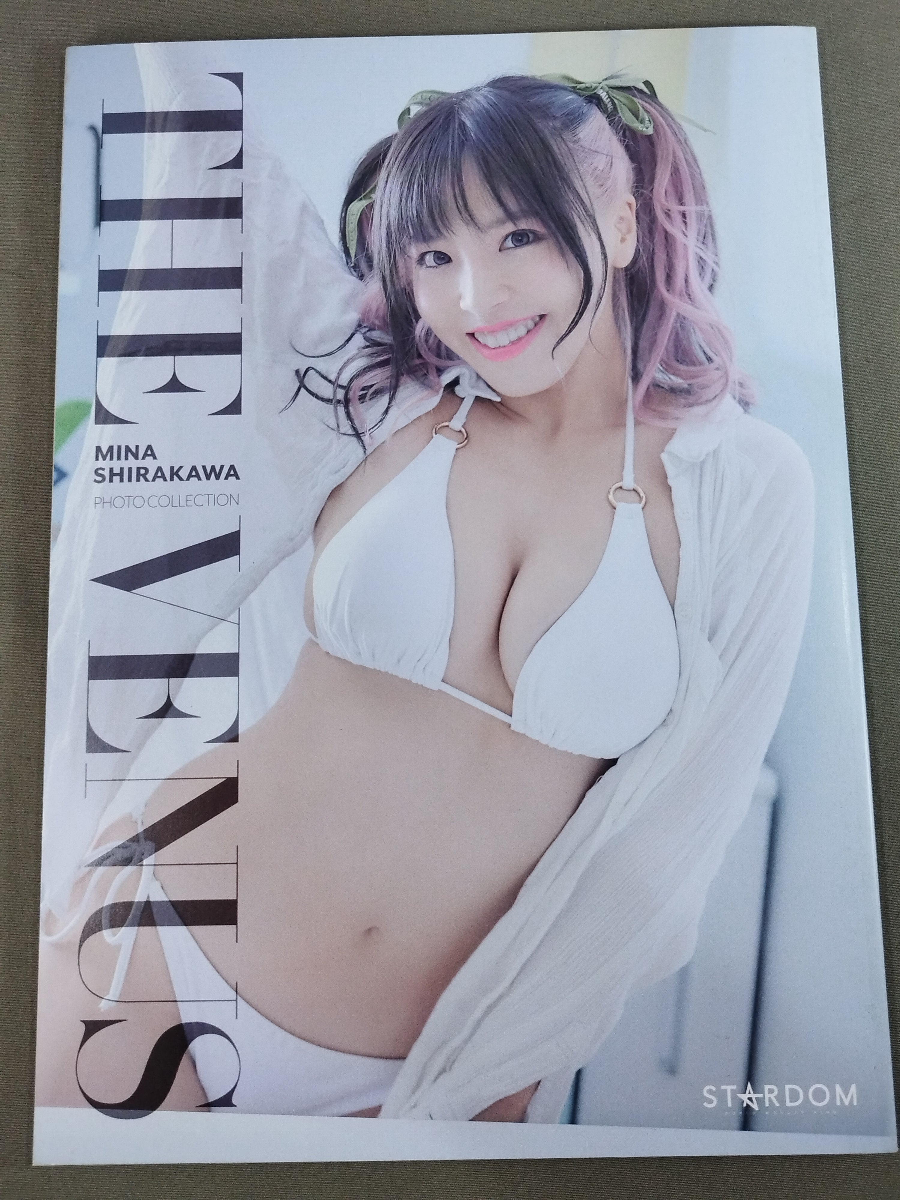 元スターダム 白川未奈 写真集 白川未奈 写真集