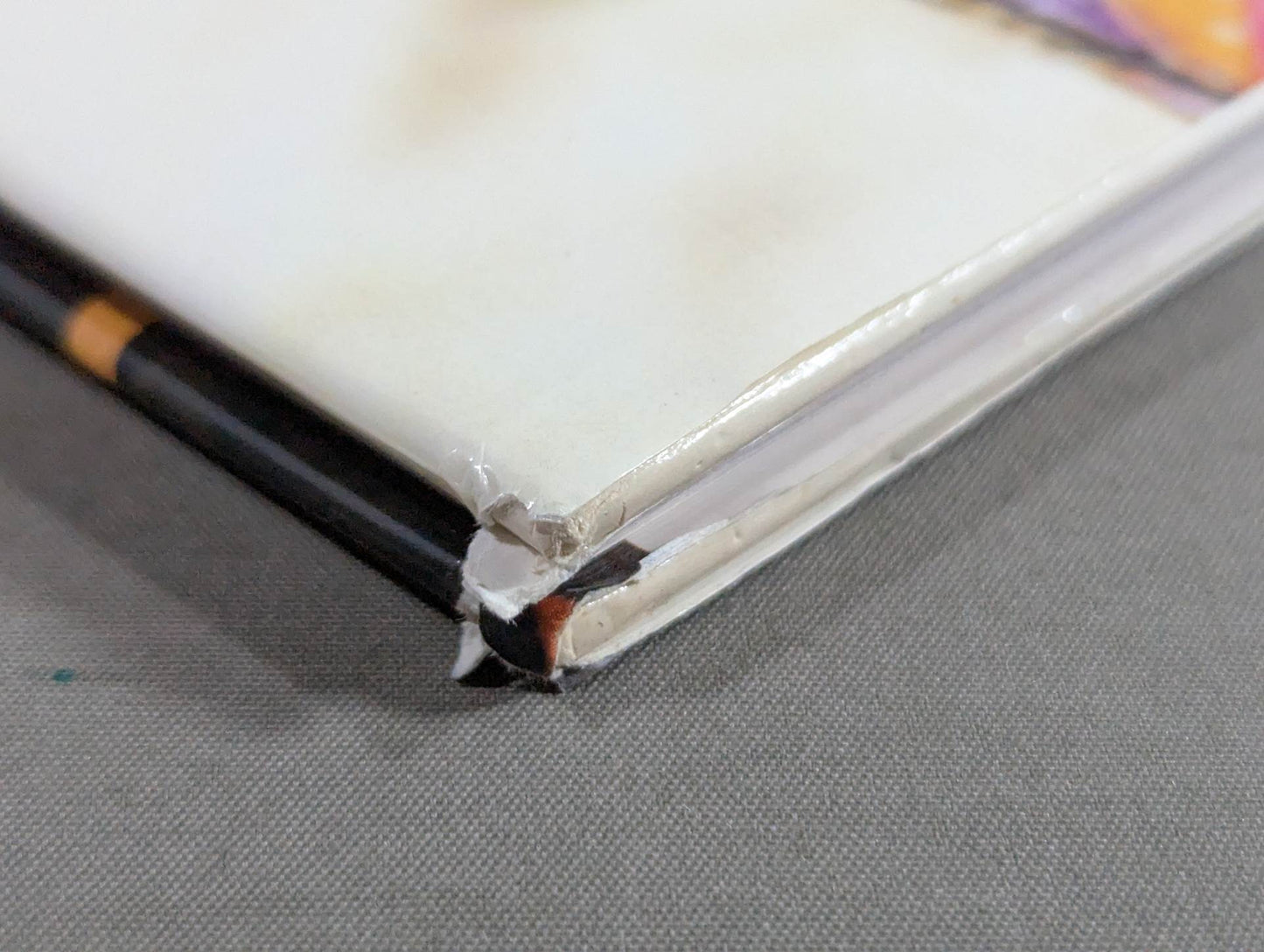 Cutie Suzuki photo collection CUTY