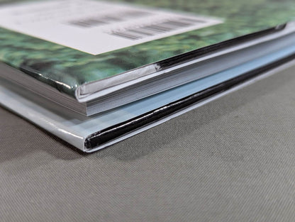 Cutie Suzuki photo collection Second Mission Gardress