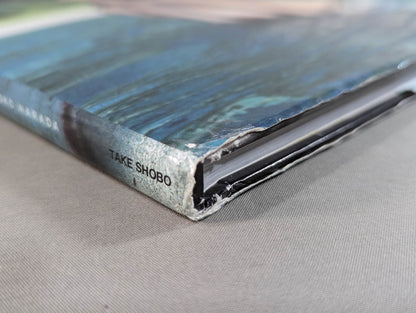 Cutie Suzuki photo collection Second Mission Gardress