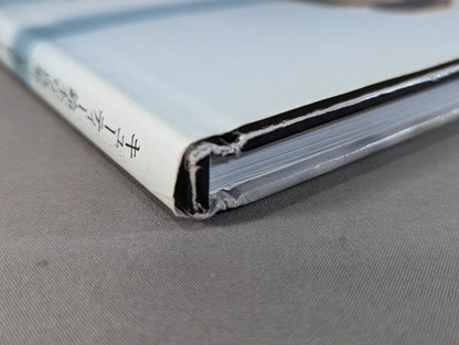 Cutie Suzuki photo collection Second Mission Gardress