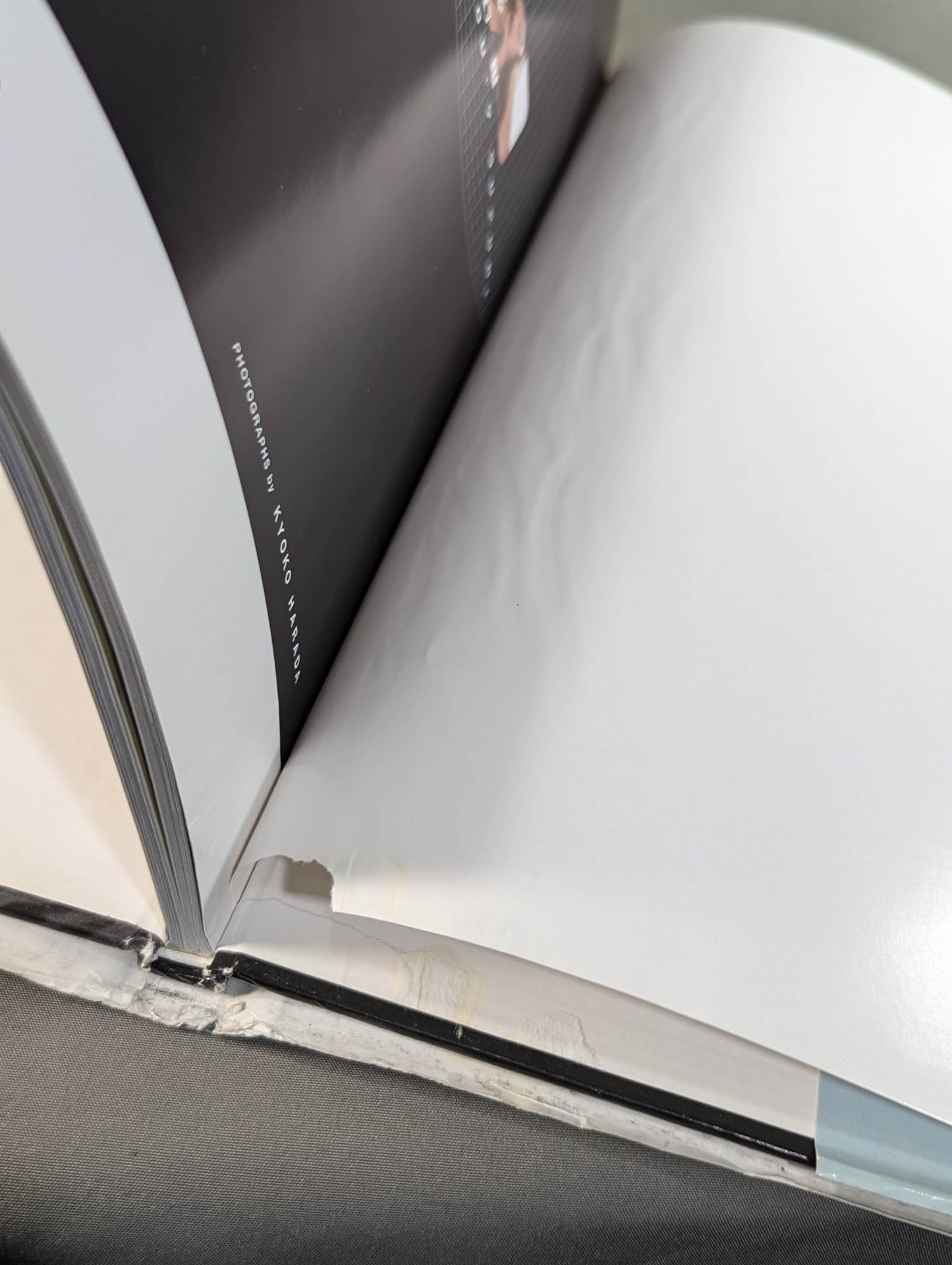 Cutie Suzuki photo collection Second Mission Gardress