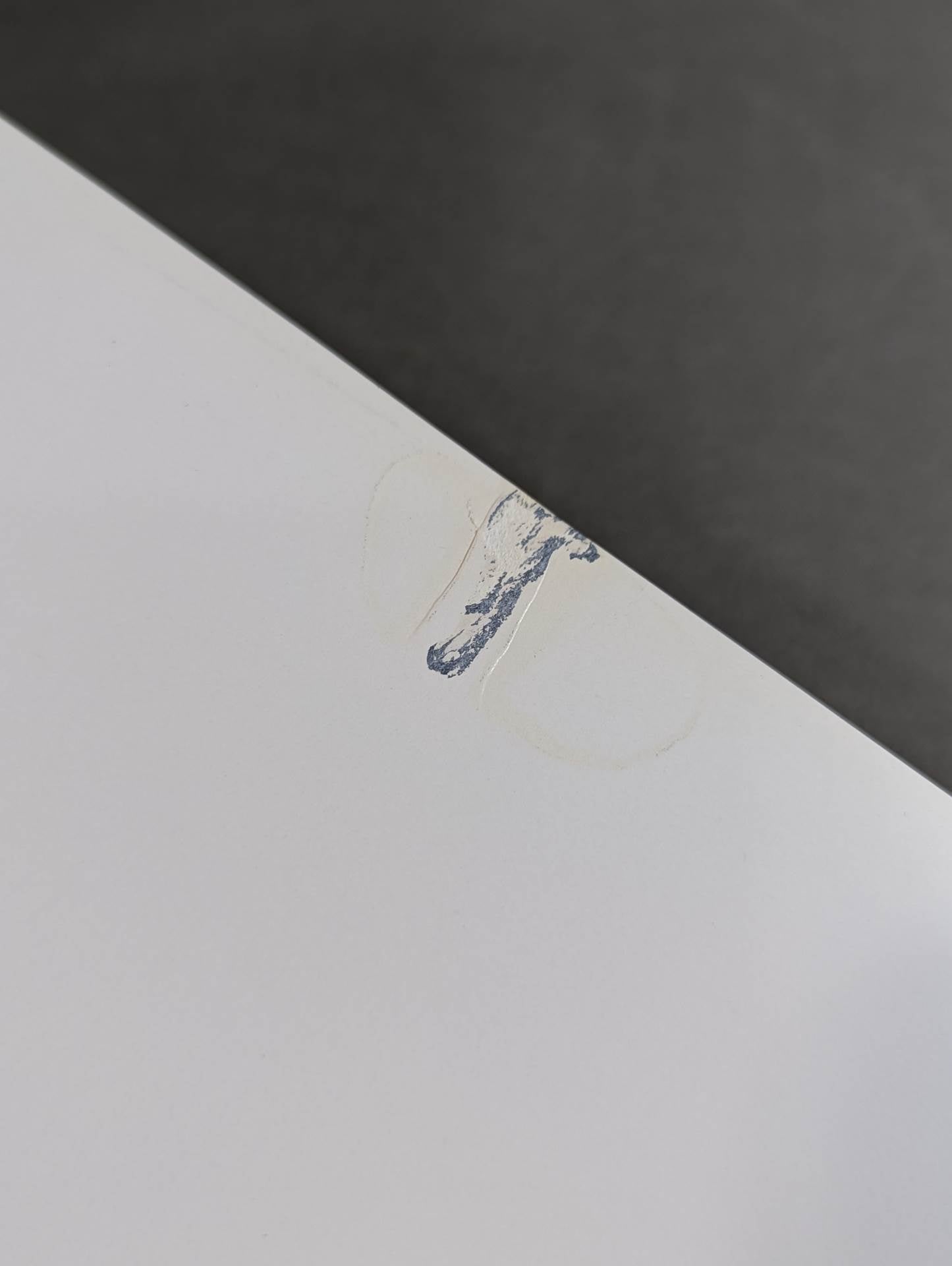 Cutie Suzuki photo collection Second Mission Gardress