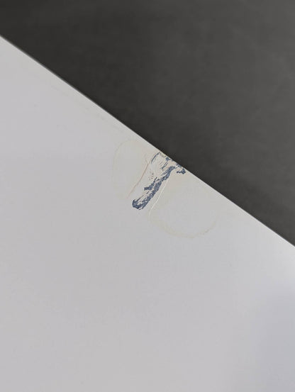 Cutie Suzuki photo collection Second Mission Gardress