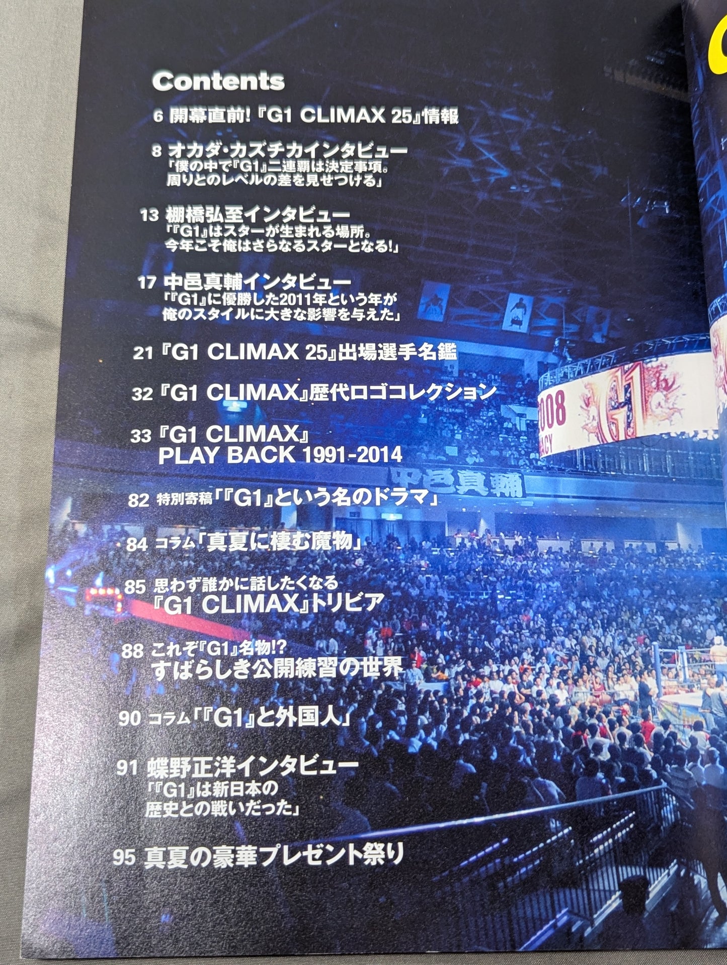 新日本プロレスマガジン G1 CLIMAX 1991-2015 公式ガイド