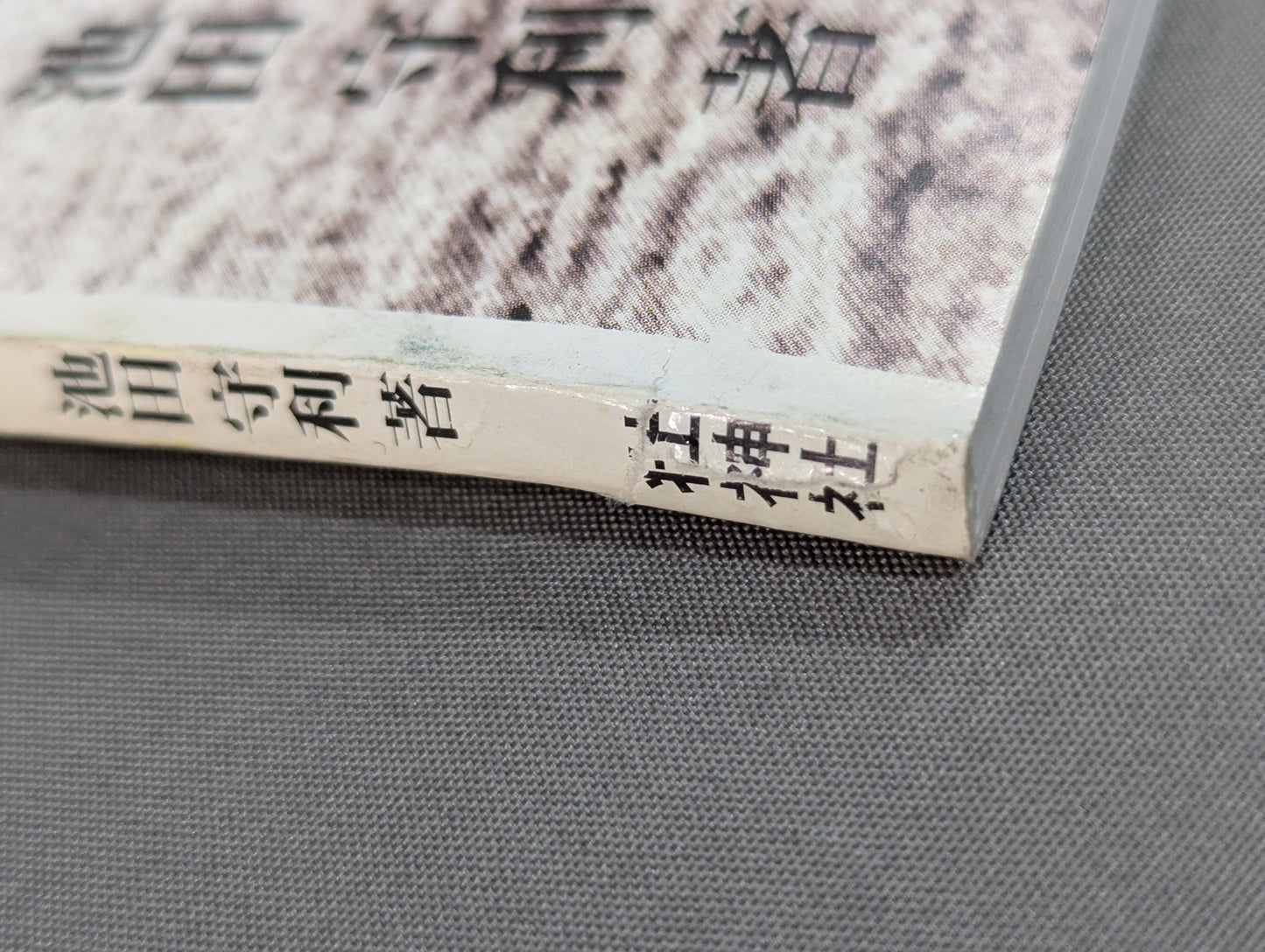 Scientific research on the secret martial arts of the Ryukyu royal family, Motobu Gotente