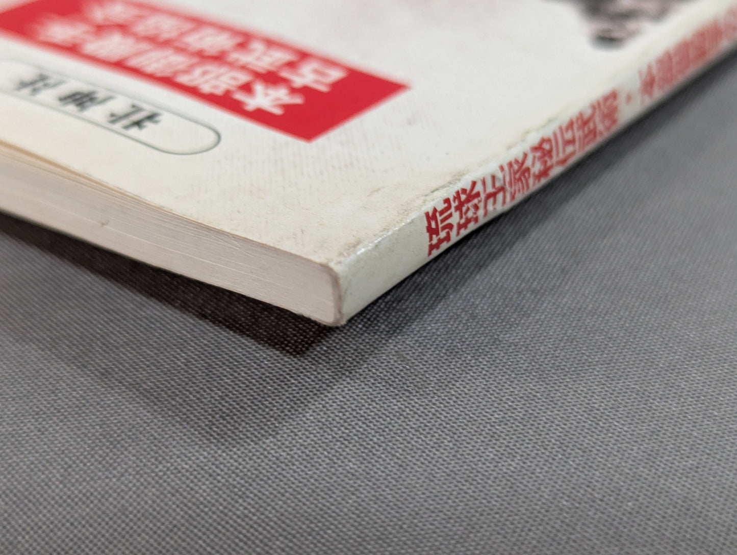 Scientific research on the secret martial arts of the Ryukyu royal family, Motobu Gotente