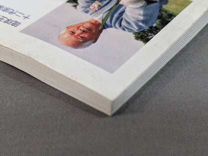 Scientific research on the secret martial arts of the Ryukyu royal family, Motobu Gotente