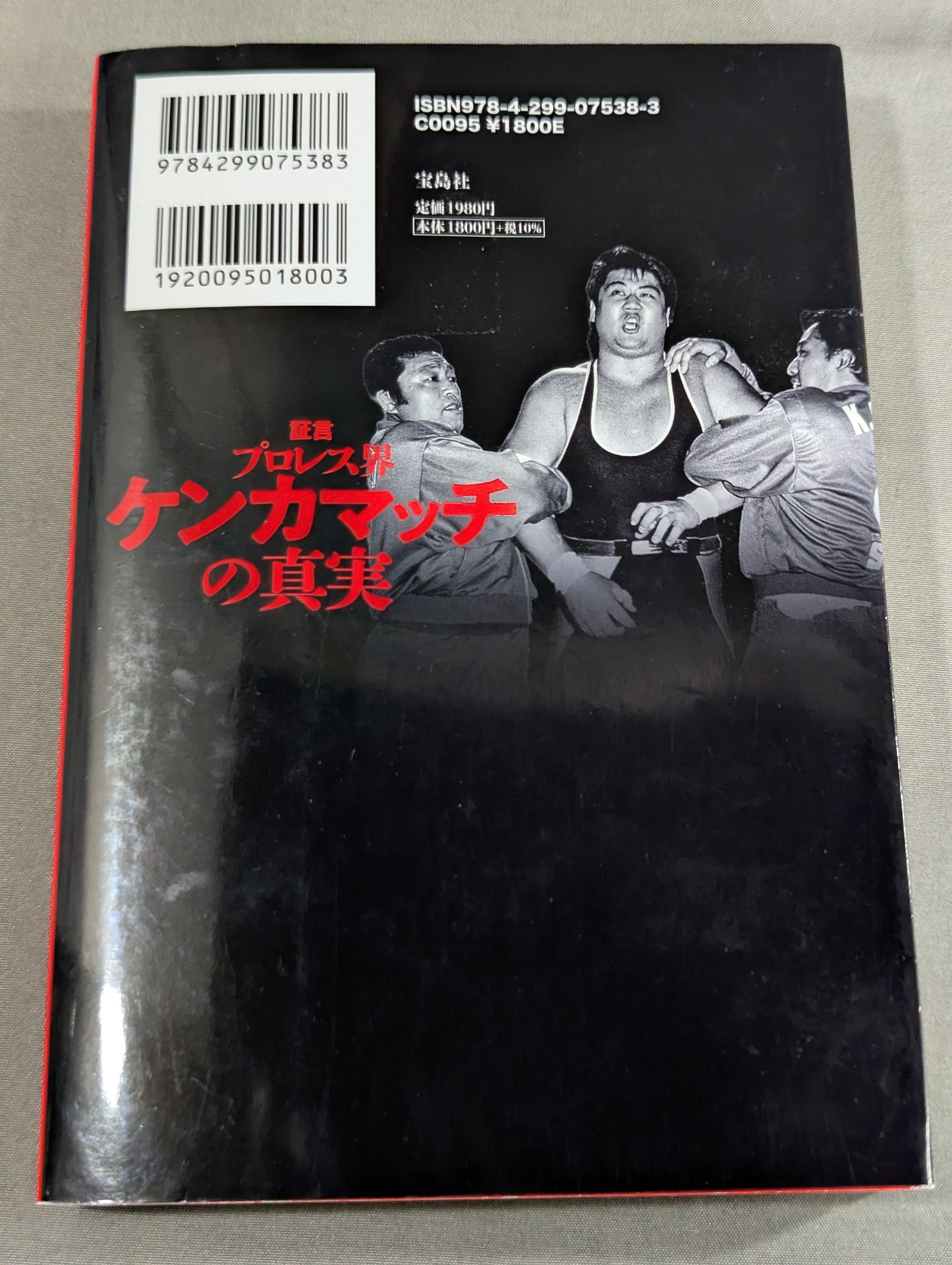 証言 プロレス界ケンカマッチの真実