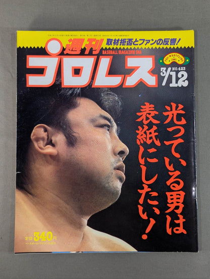 Weekly Pro Wrestling  423