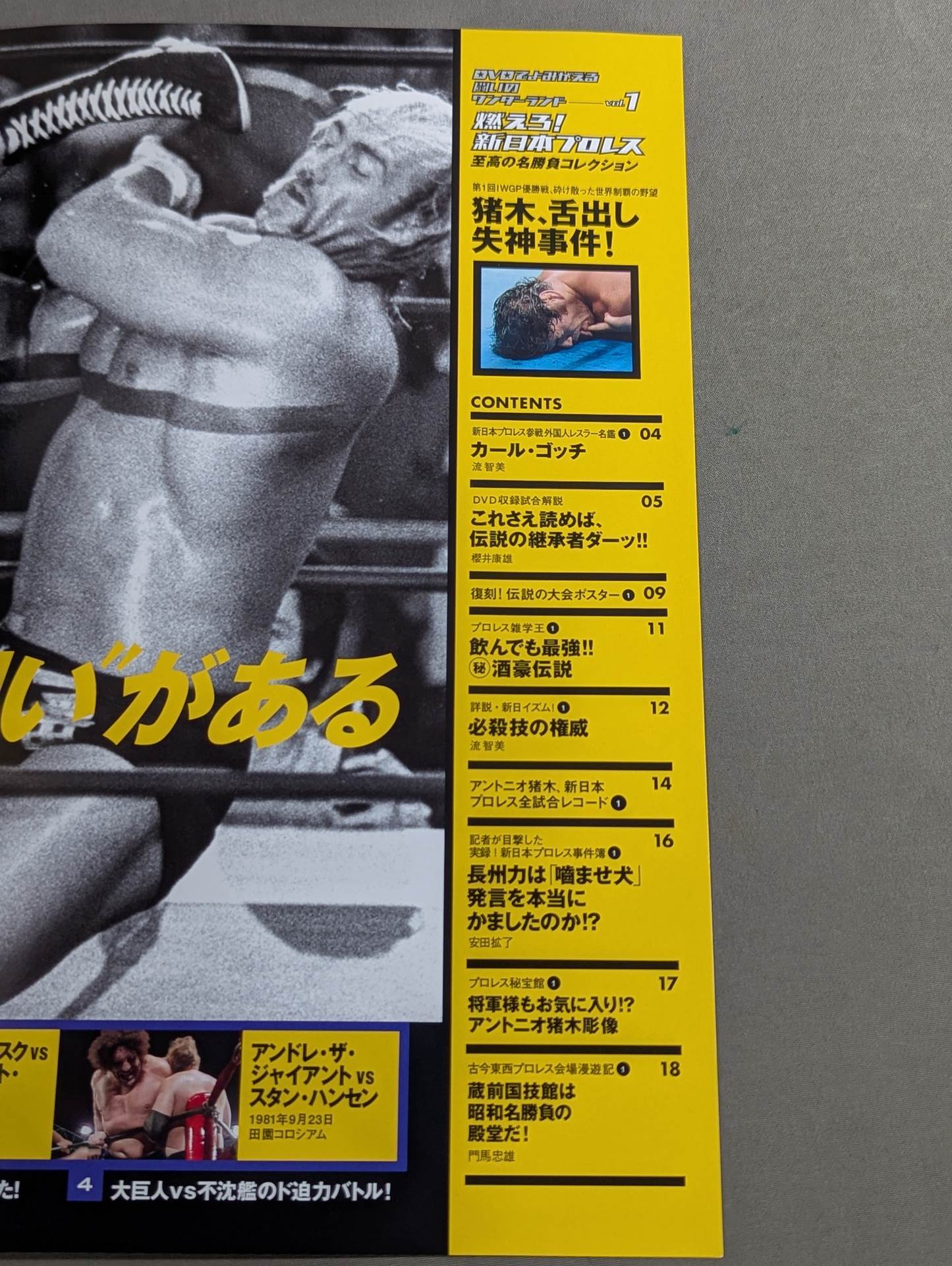 燃えろ!新日本プロレス vol.1 – 闘道館
