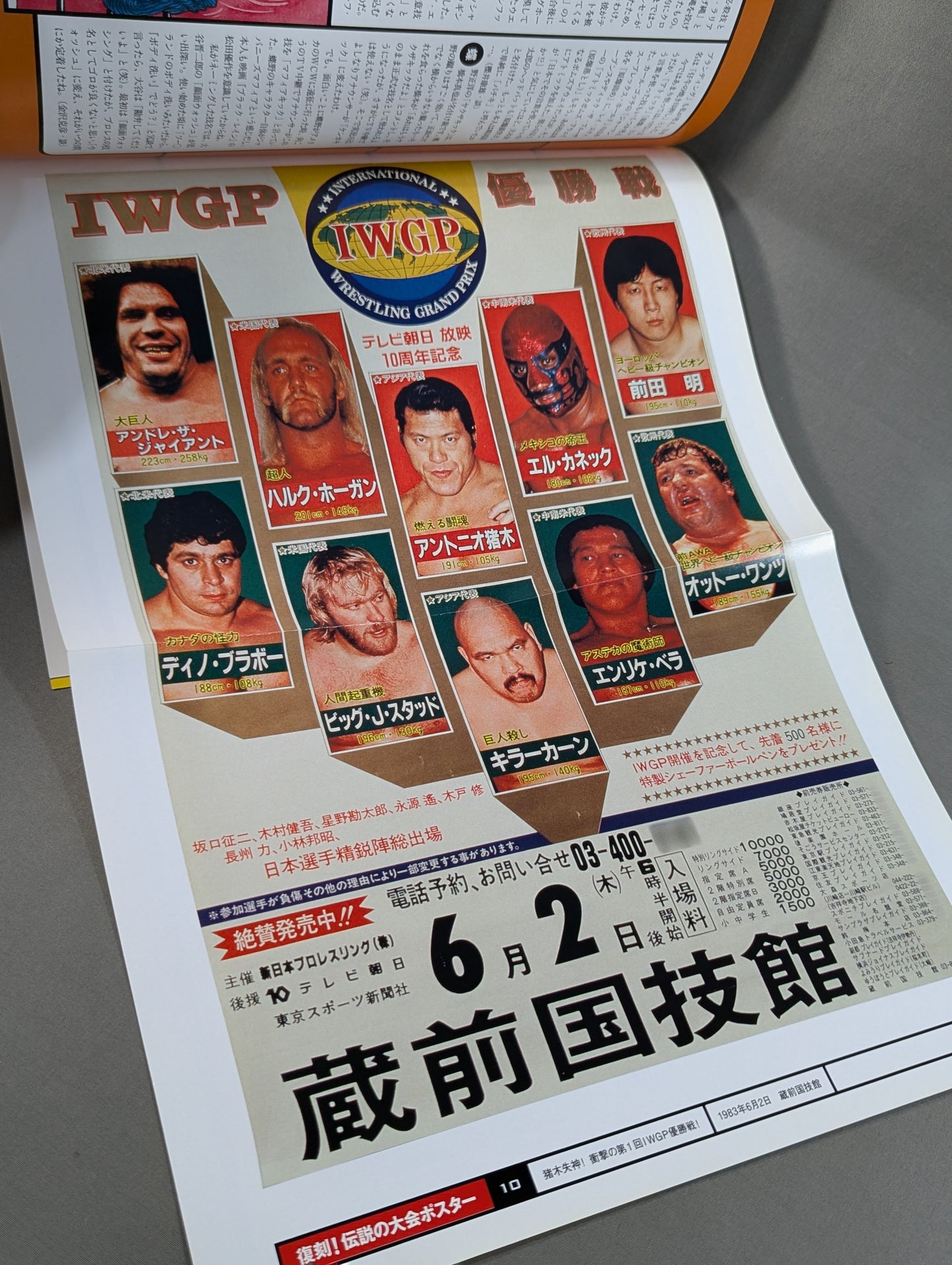 燃えろ!新日本プロレス vol.10