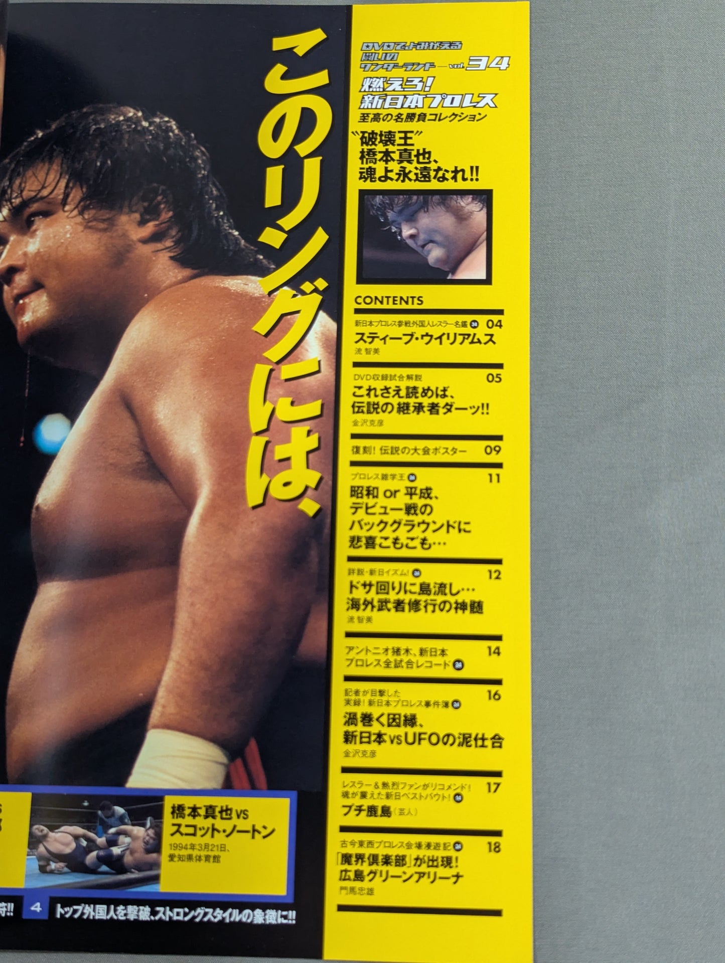 燃えろ!新日本プロレス vol.34