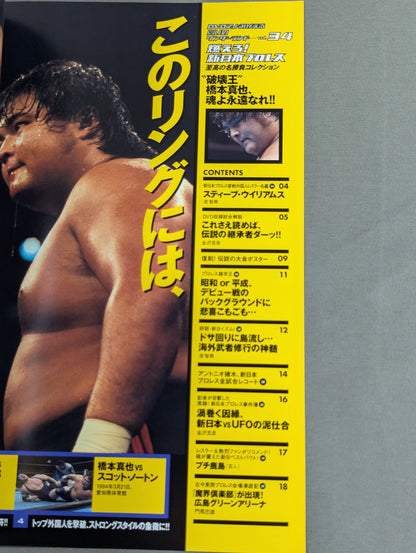 燃えろ!新日本プロレス vol.34