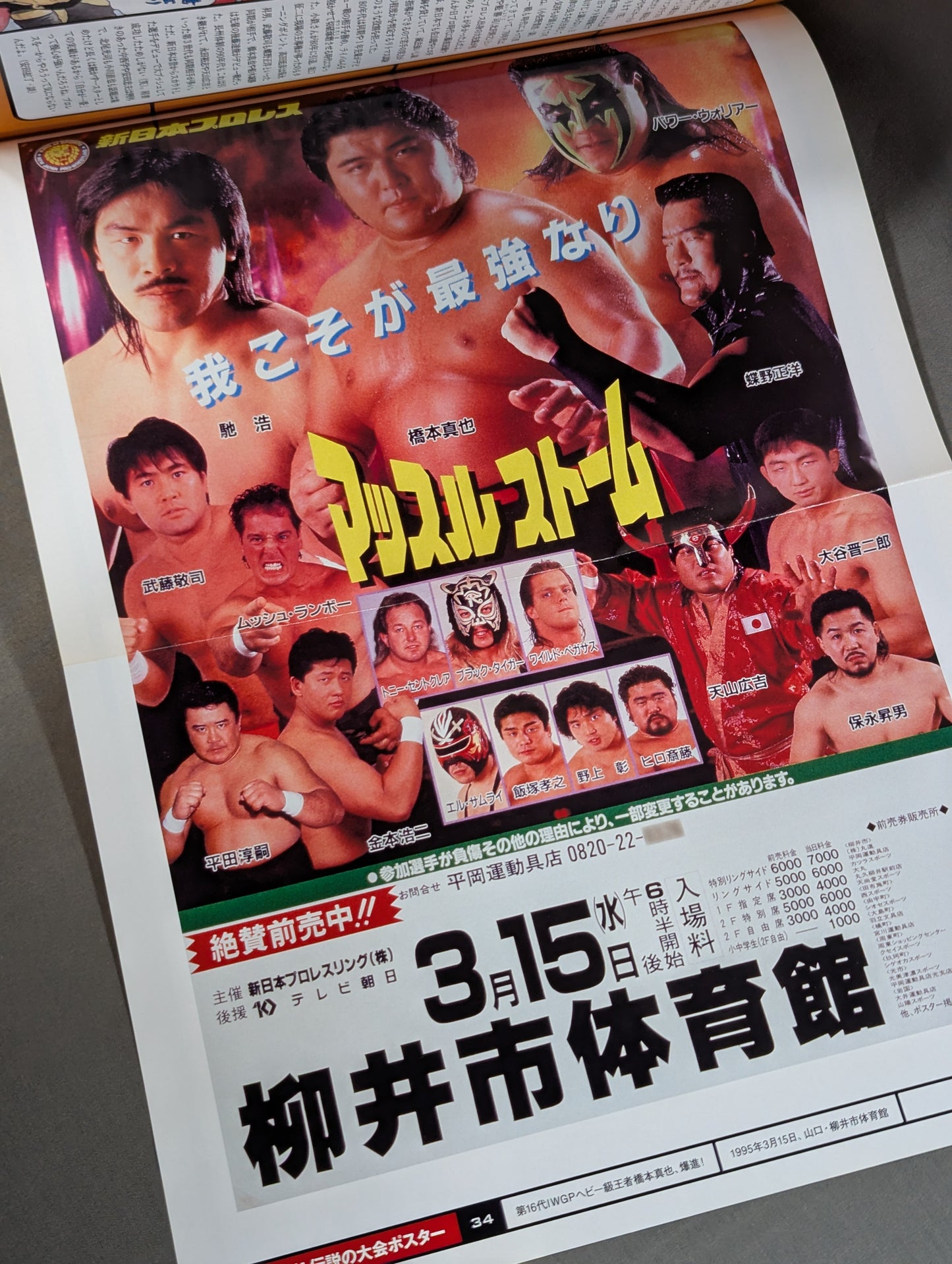 燃えろ!新日本プロレス vol.34