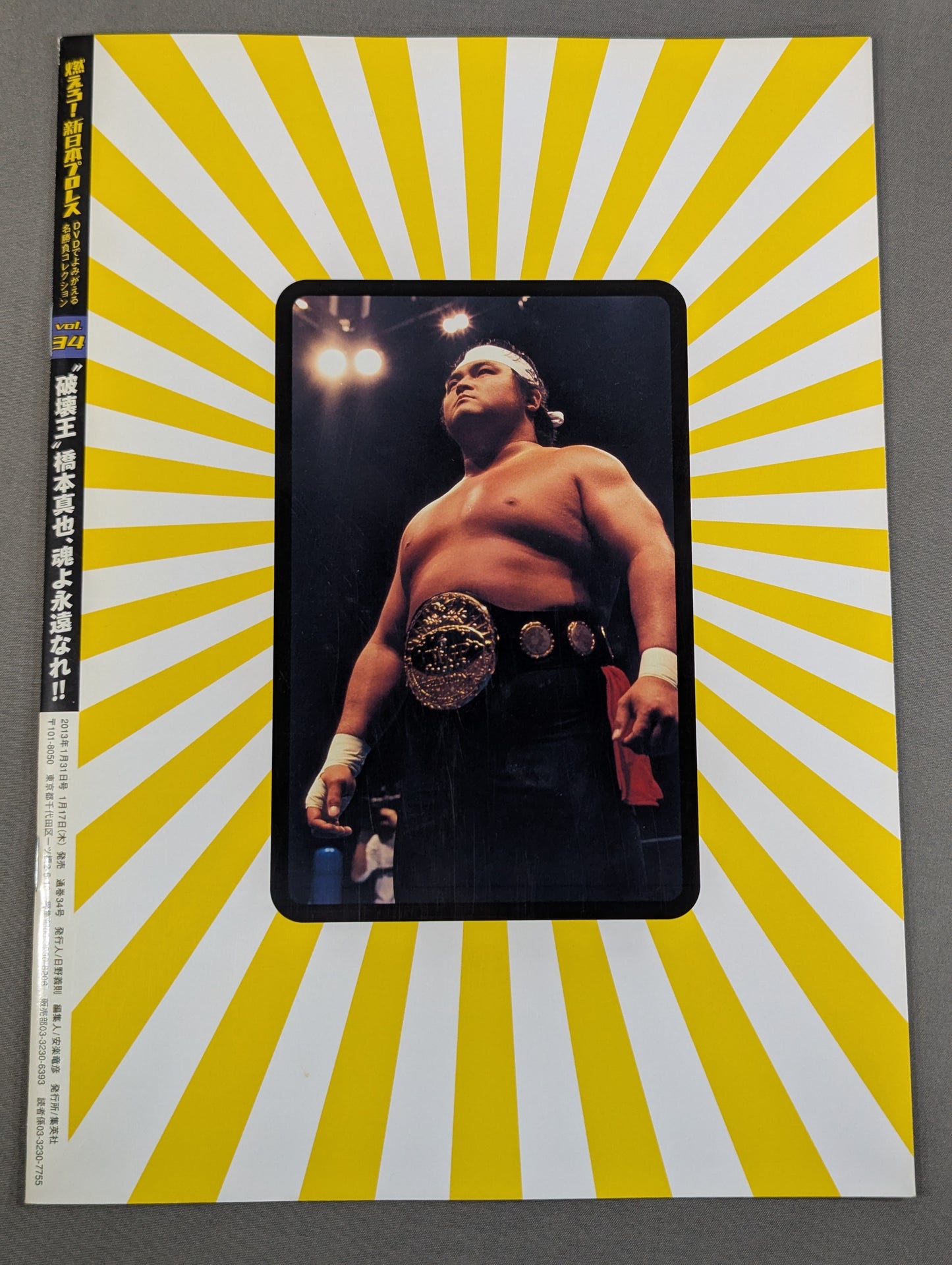 燃えろ!新日本プロレス vol.34