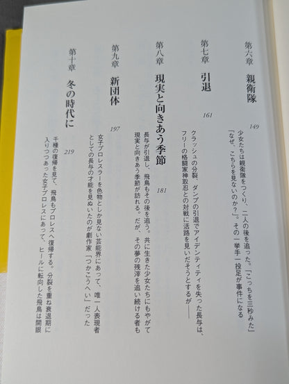 1985年のクラッシュ・ギャルズ