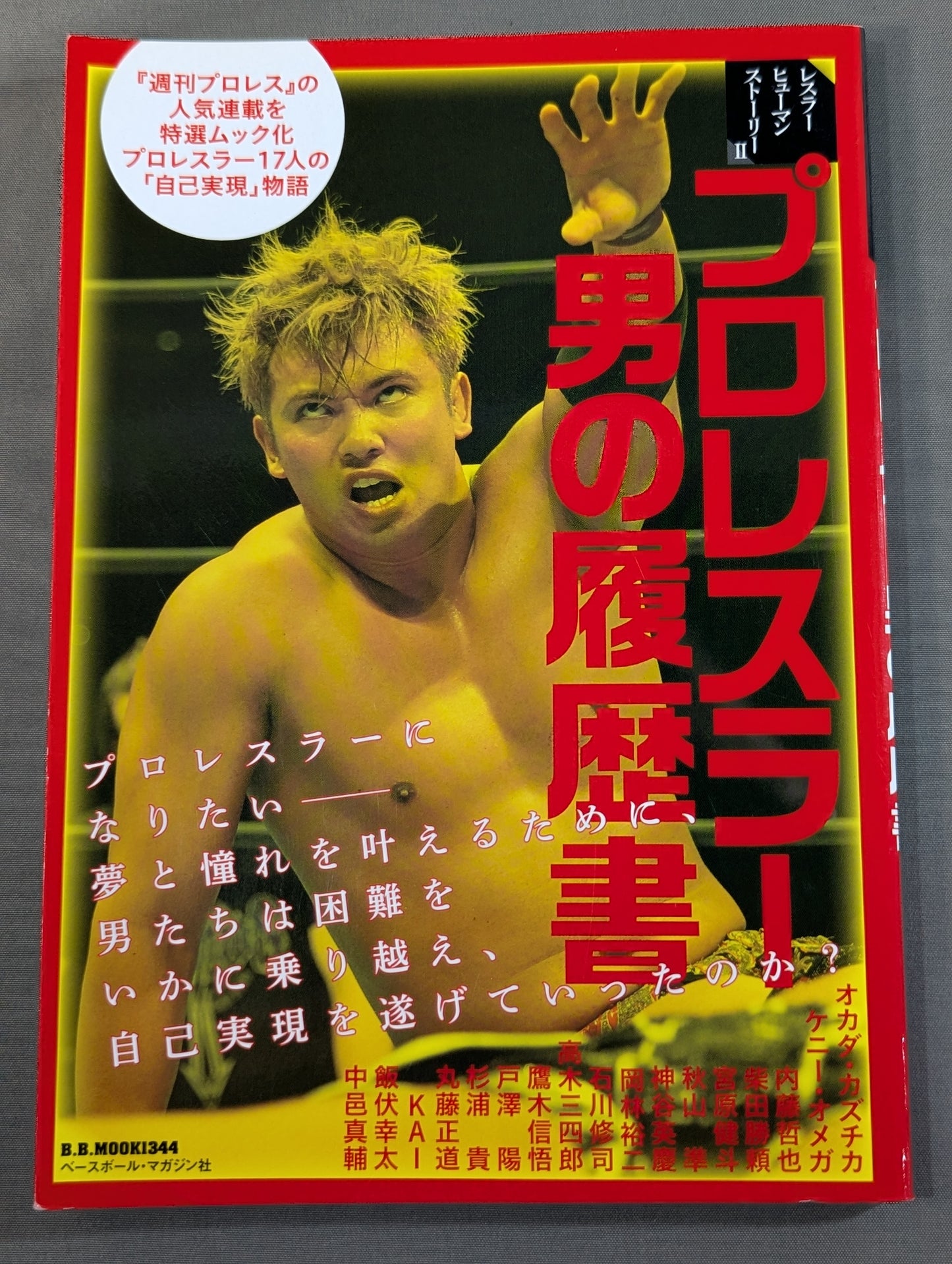 Resume of a pro wrestler man