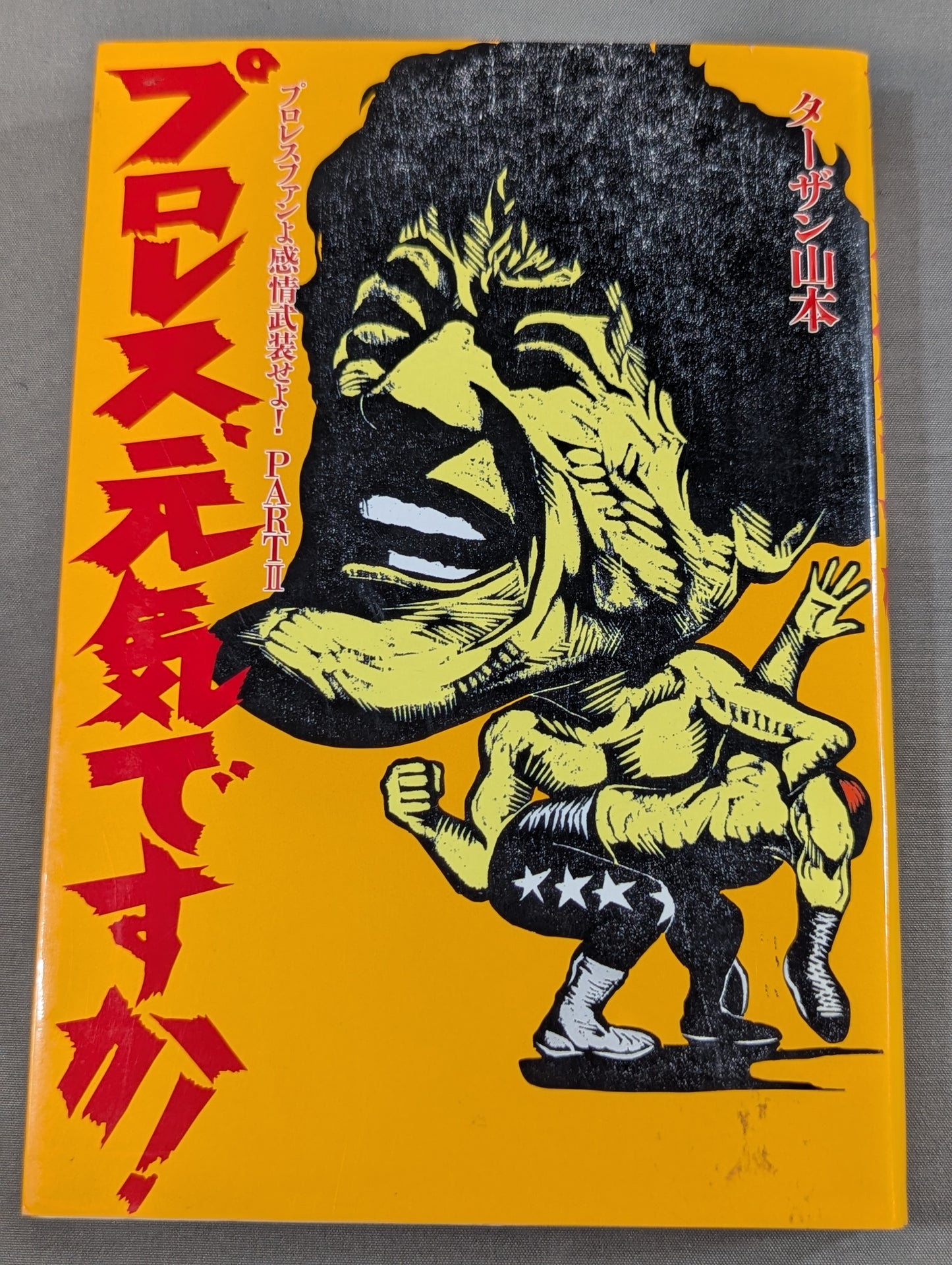プロレス､元気ですか! プロレスファンよ感情武装せよ!PARTⅡ