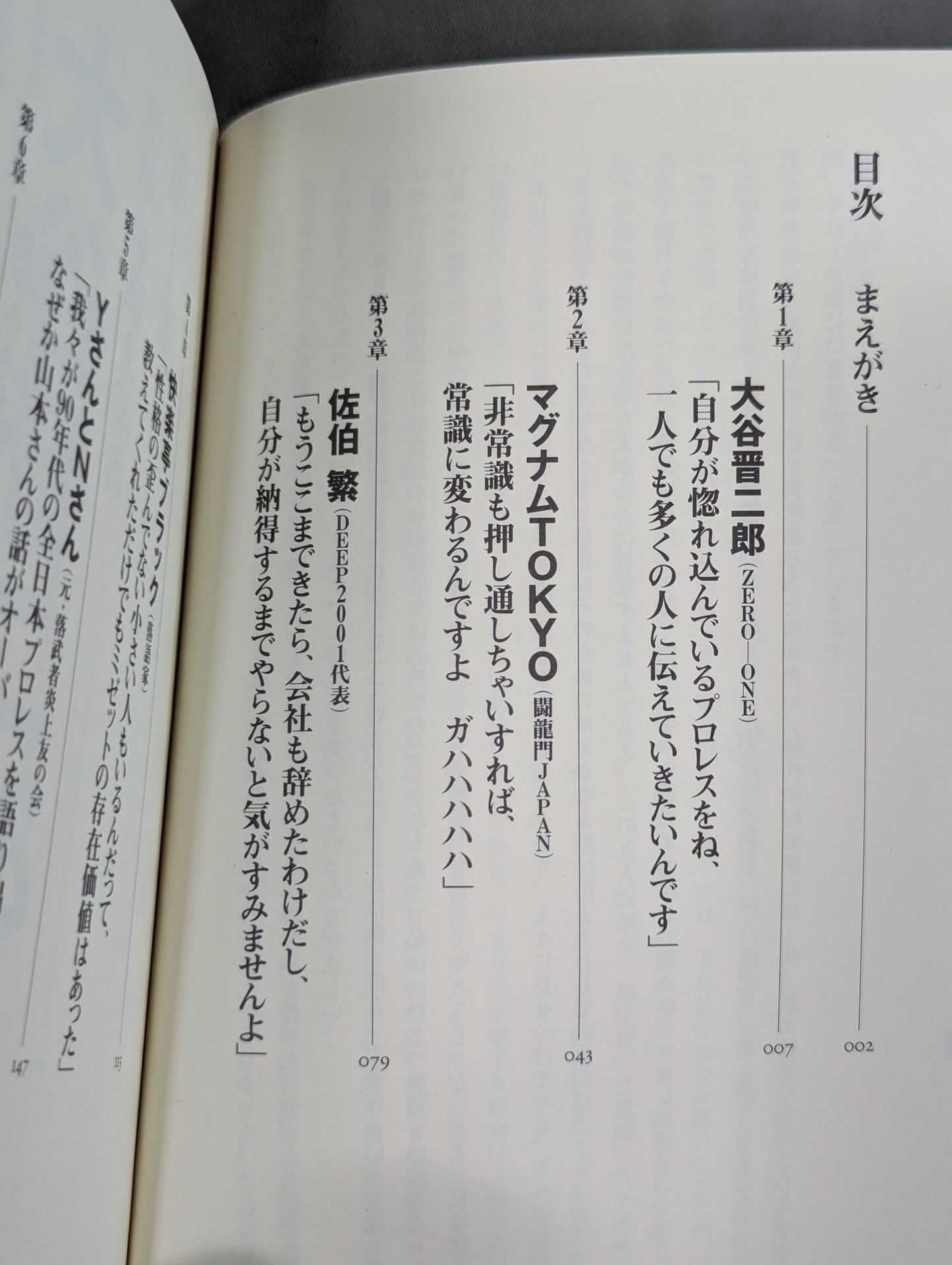 プロレス､元気ですか! プロレスファンよ感情武装せよ!PARTⅡ