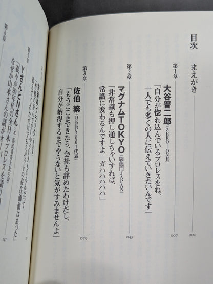 プロレス､元気ですか! プロレスファンよ感情武装せよ!PARTⅡ