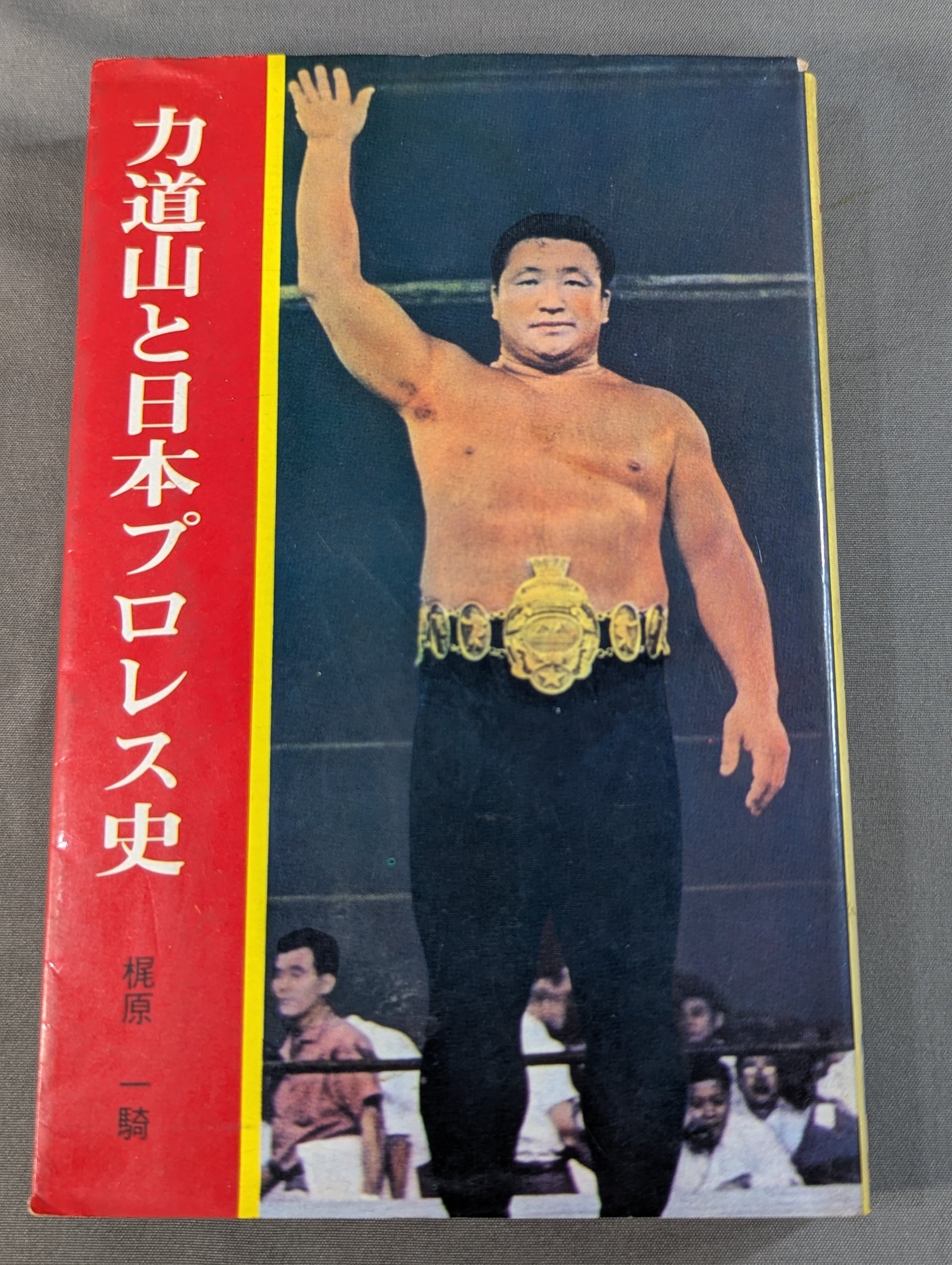 活動歴および当時の関連ビジュアル記録