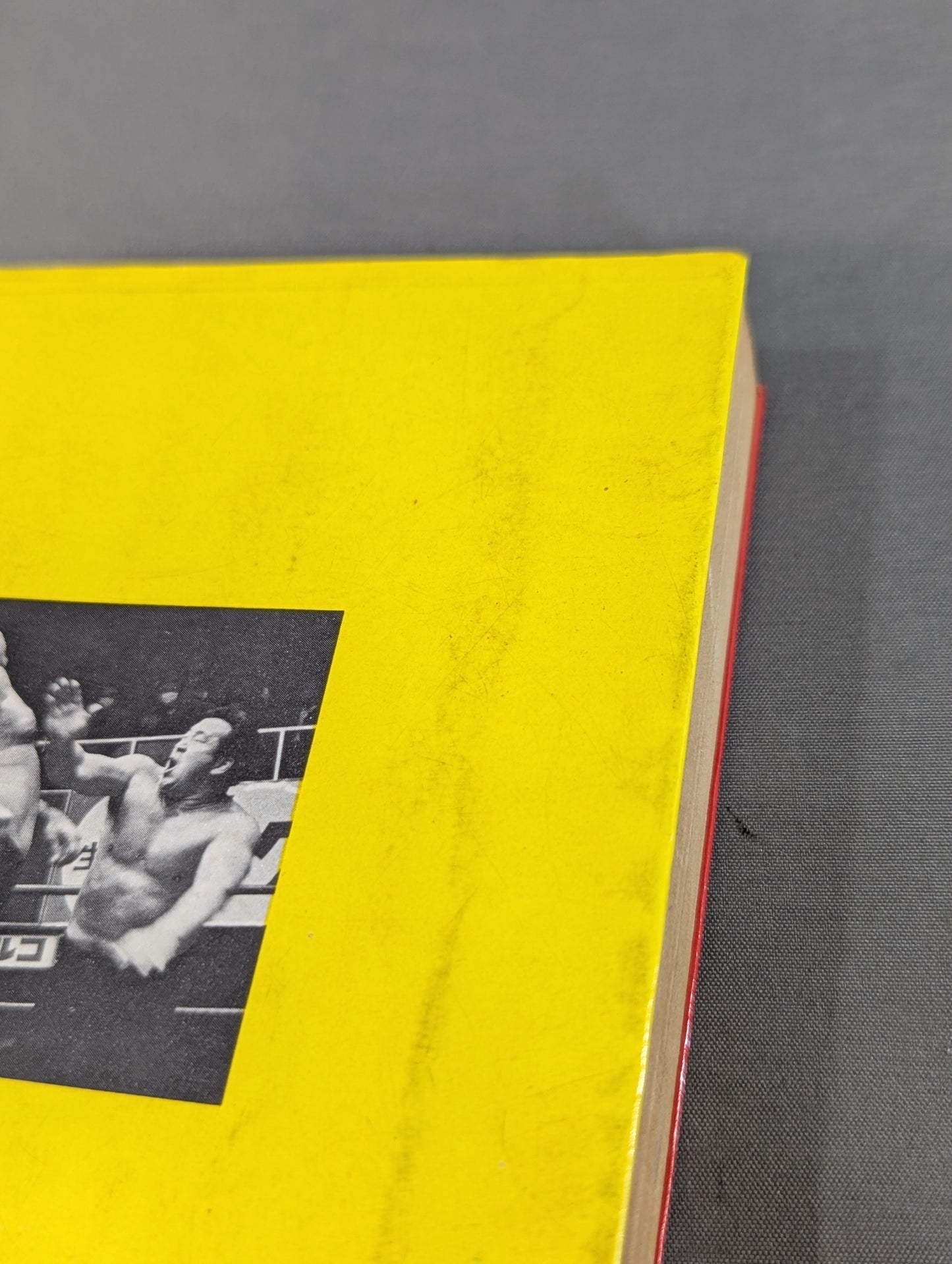 力道山と日本プロレス史