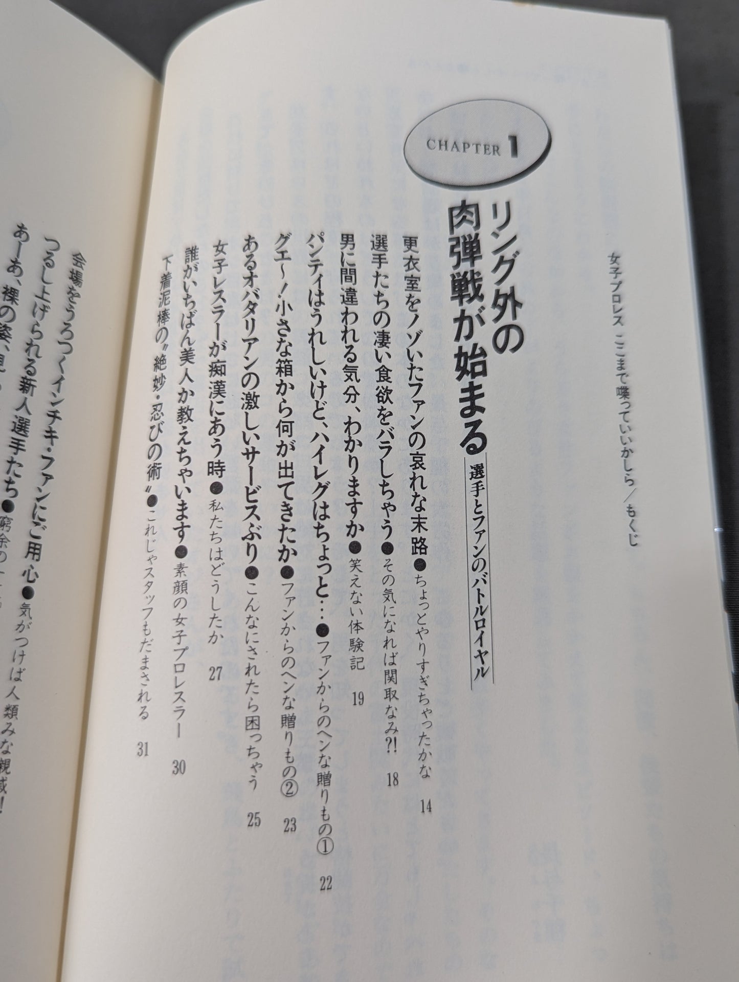 女子プロレス､ここまで喋っていいかしら