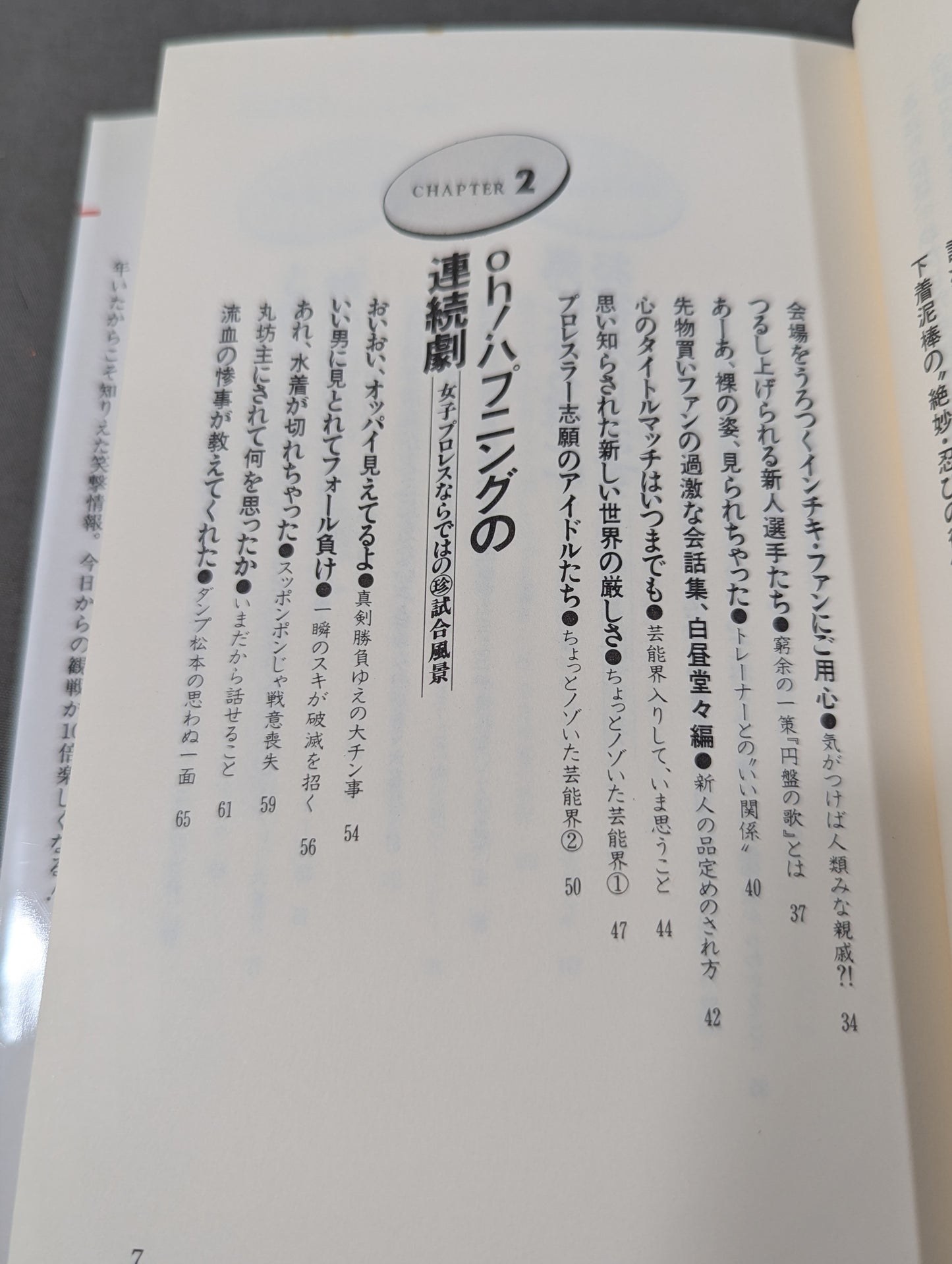 女子プロレス､ここまで喋っていいかしら