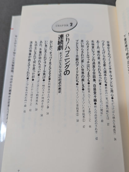 女子プロレス､ここまで喋っていいかしら