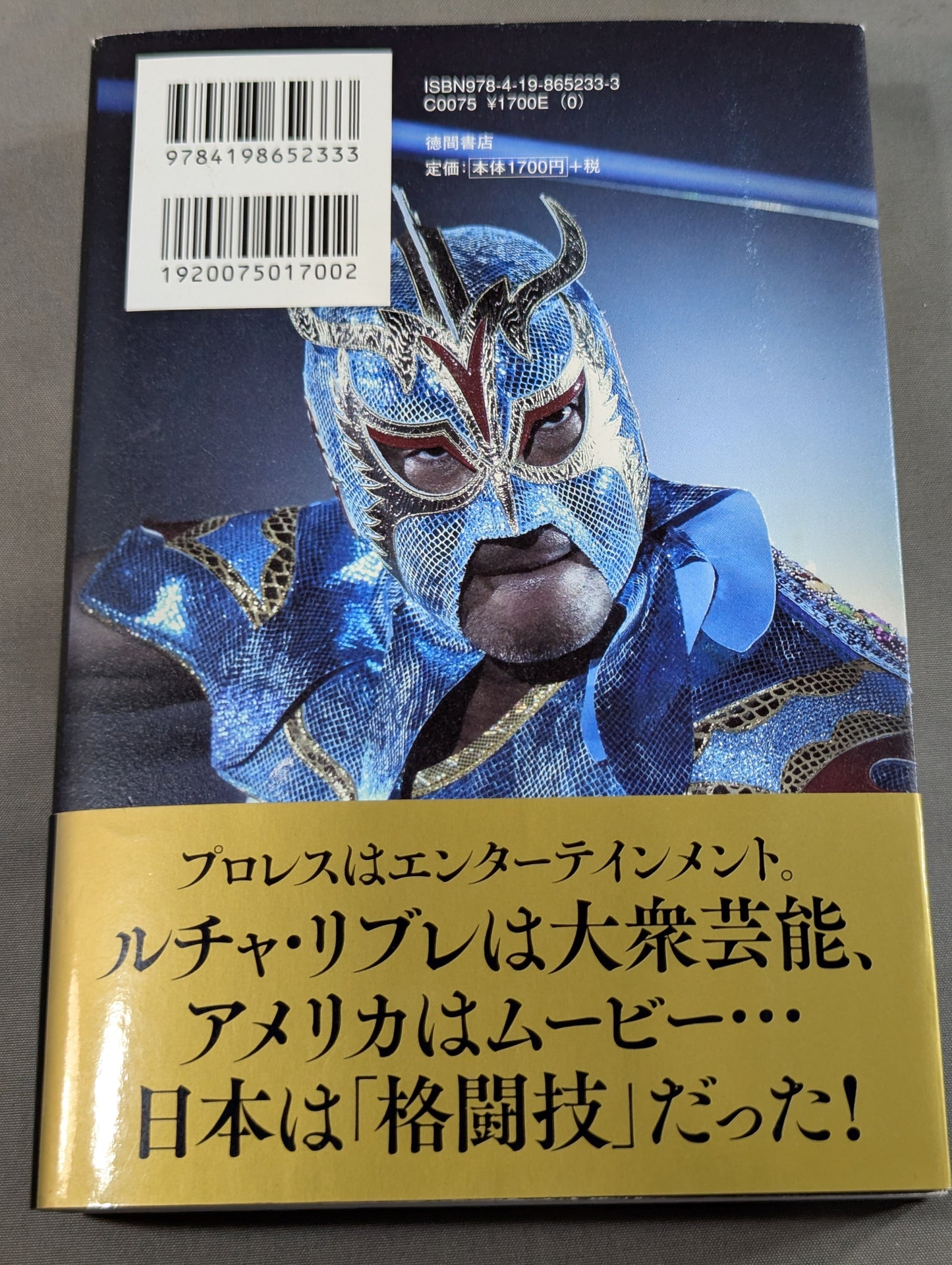 Self-taught Pro Wrestling