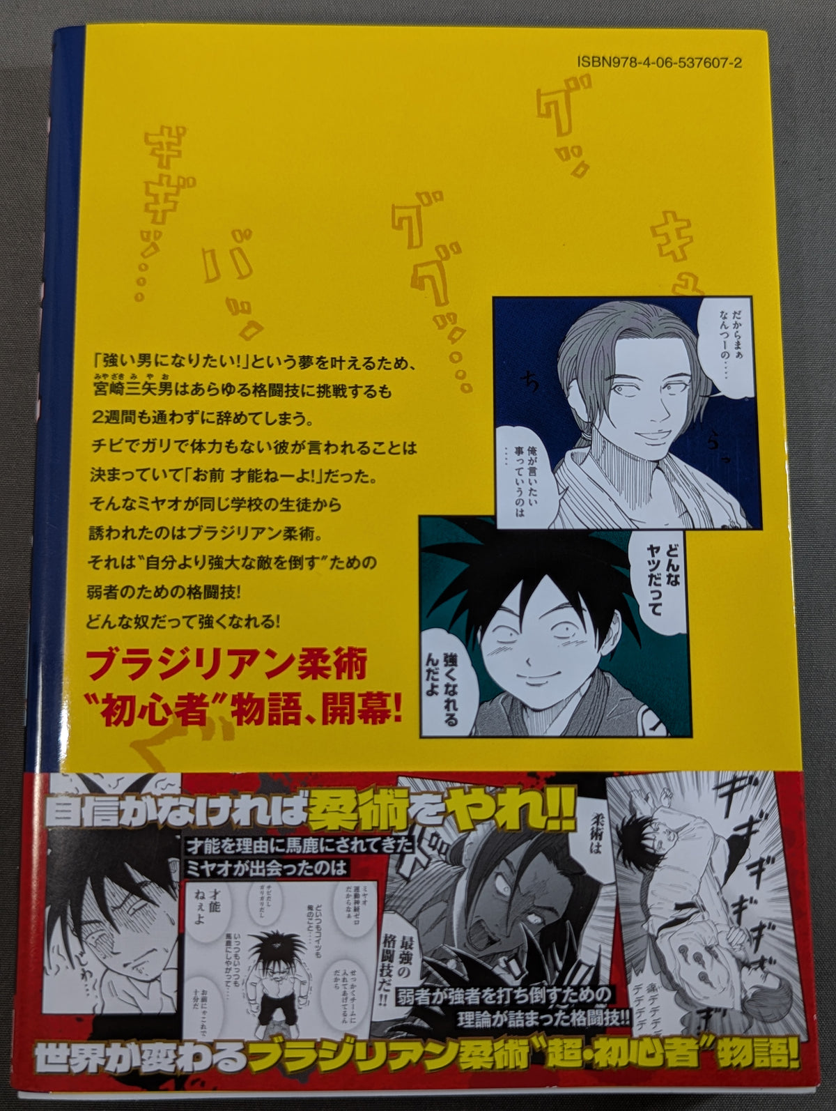 [Complete 3-Volume Set] Braju~