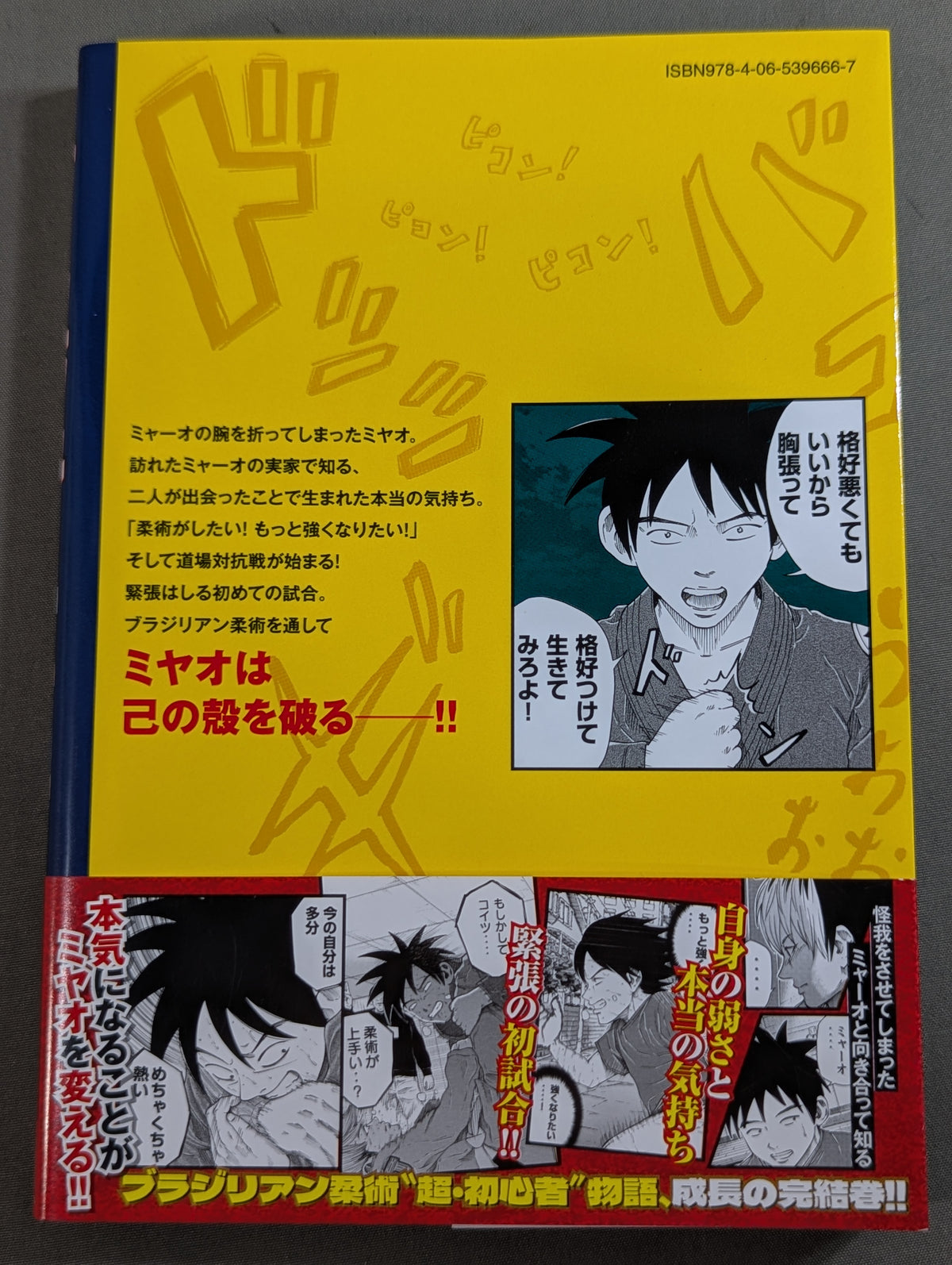 [Complete 3-Volume Set] Braju~