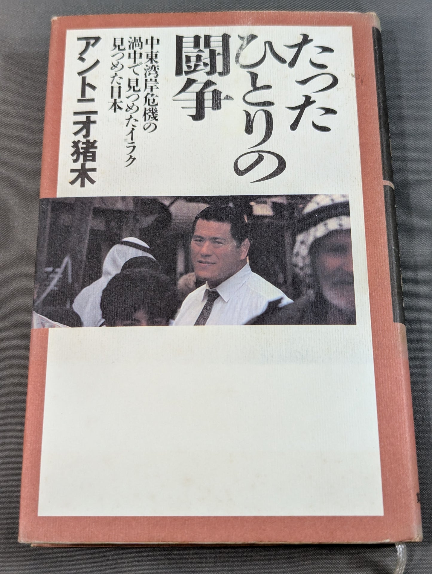 たったひとりの闘争