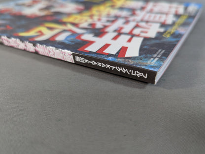 極真空手 奥義皆伝 王者たちに学ぶスーパーテクニック