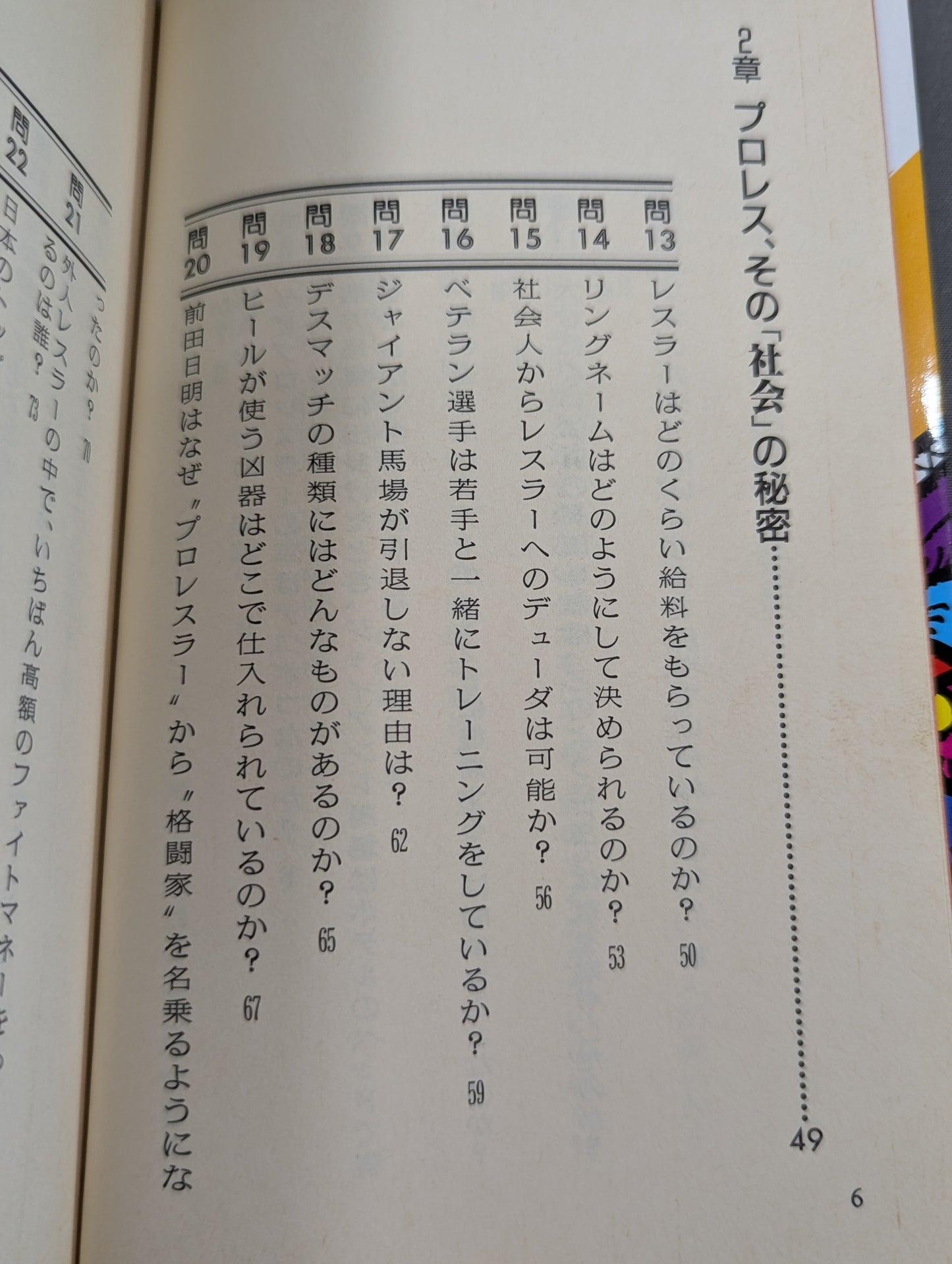 "Pro Wrestling" A secret that even you don't know
