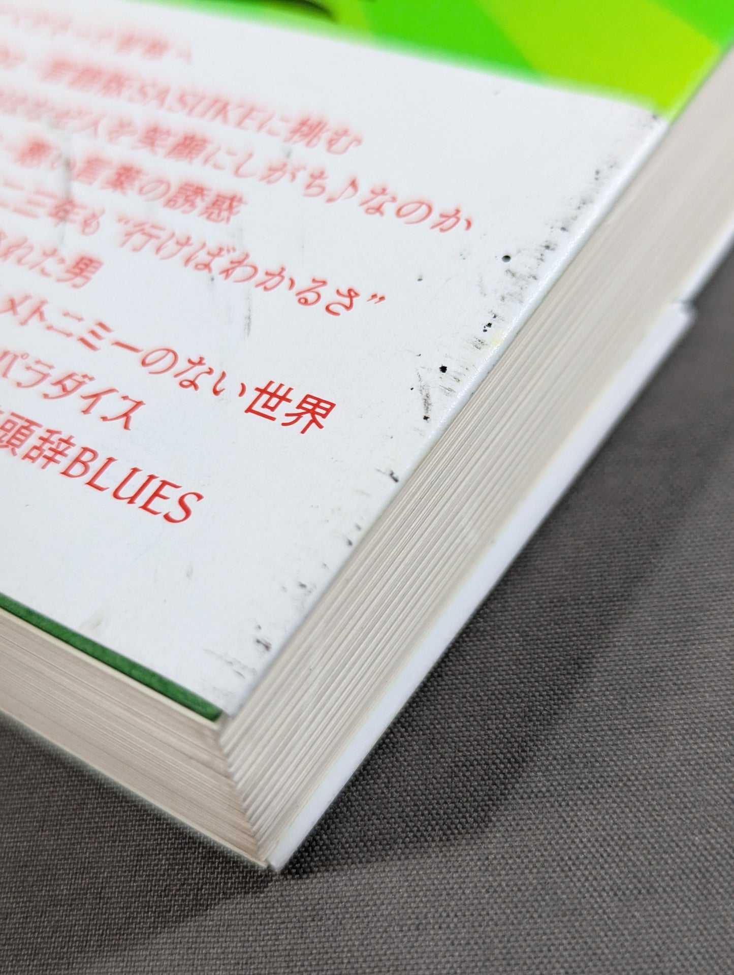 言語学バーリ・トゥード Round 2  言語版SASUKEに挑む