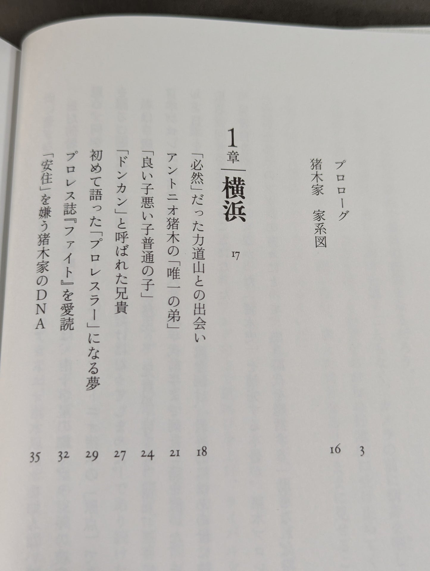 兄  私だけが知るアントニオ猪木