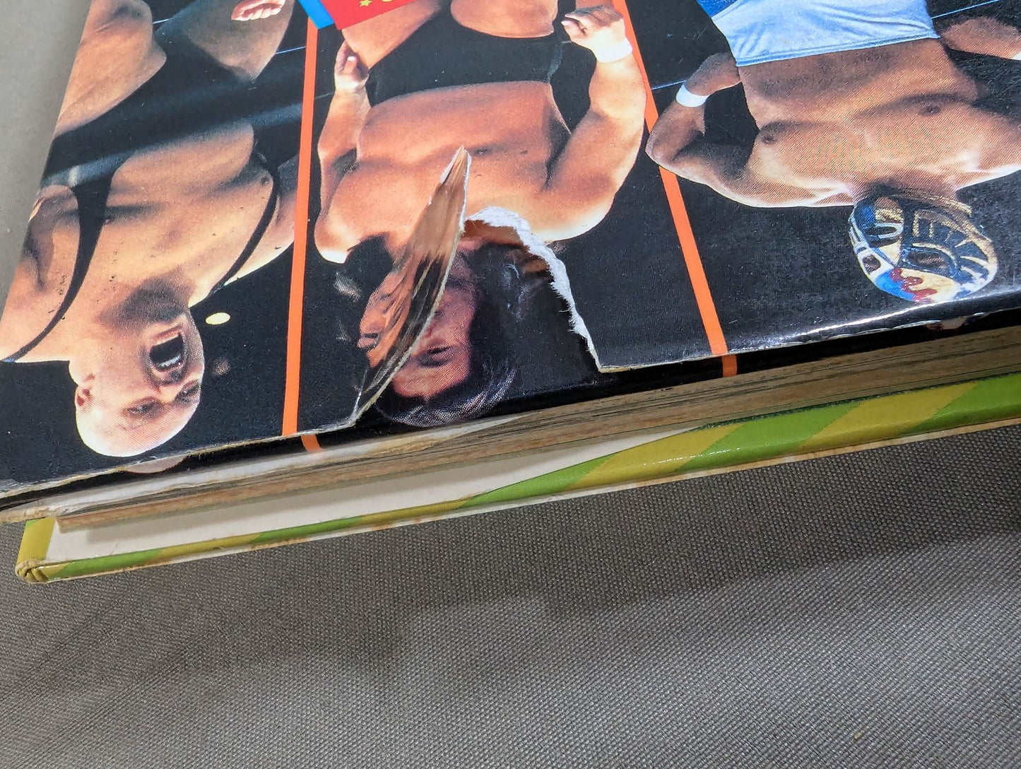 プロレス ものしりおもしろクイズ / 小学館入門百科シリーズ・163