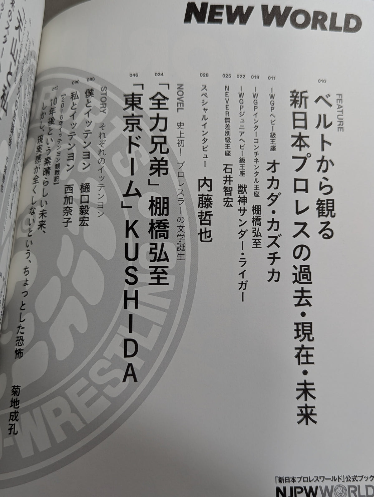 【全2冊セット】「新日本プロレスワールド」公式ブック NEW WORLD Vol.1 ＆ Vol.2